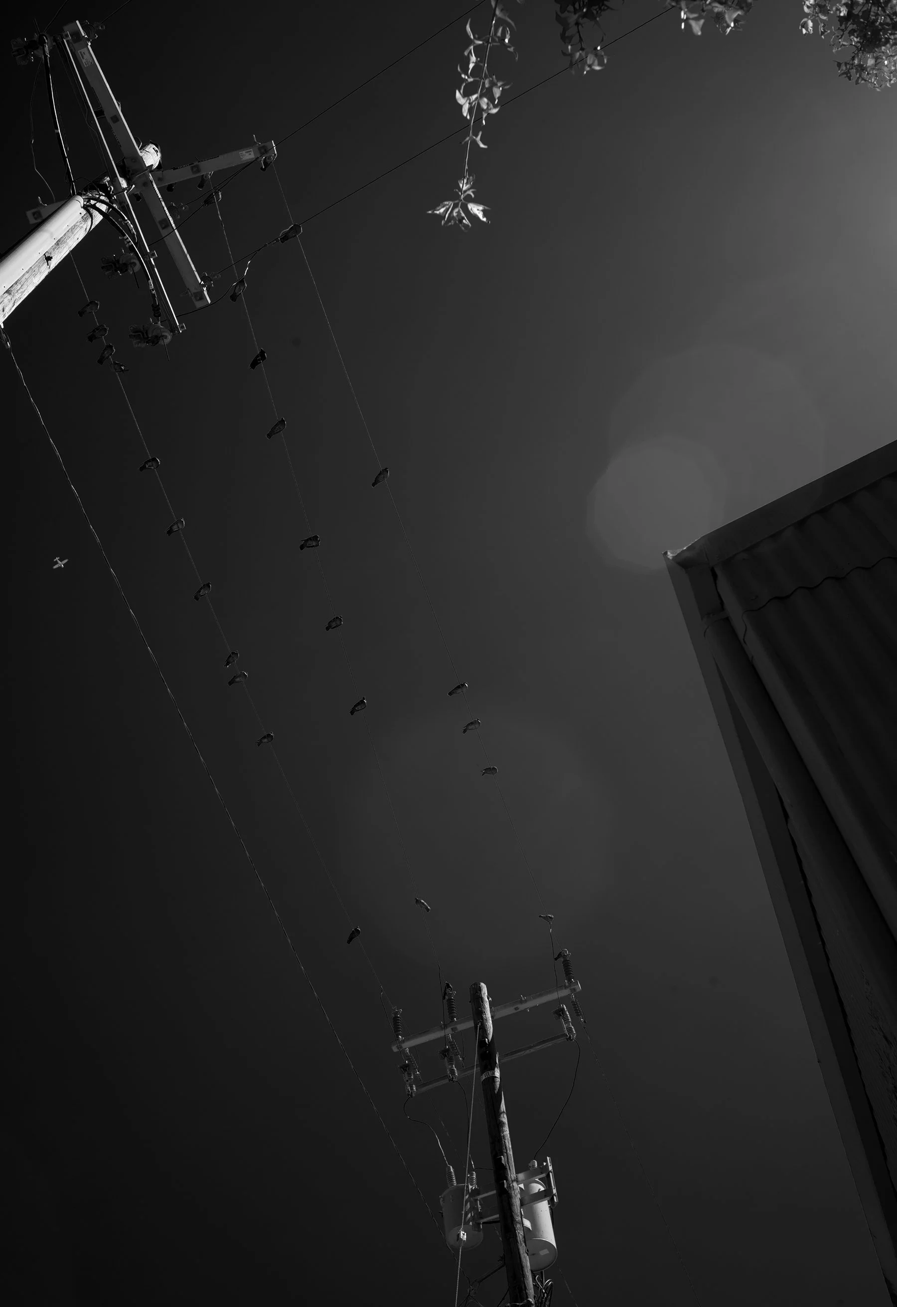 L1002746 copy.jpg