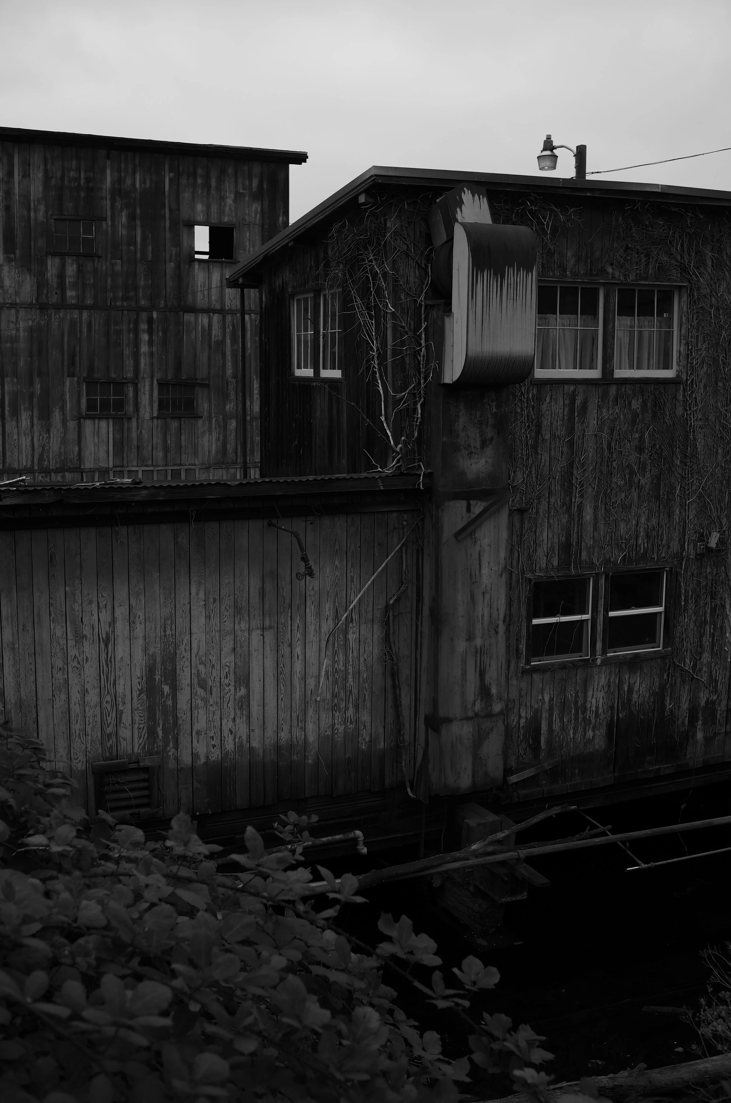 L1002769.jpeg