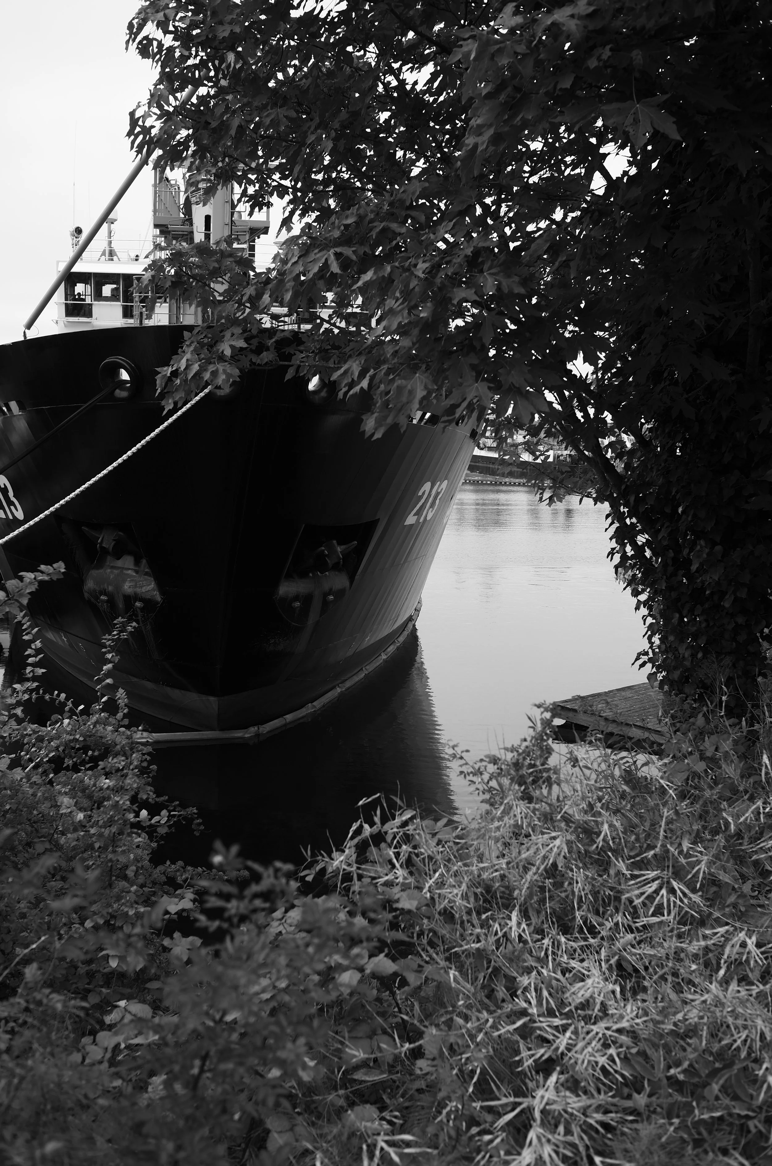 L1002772.jpeg