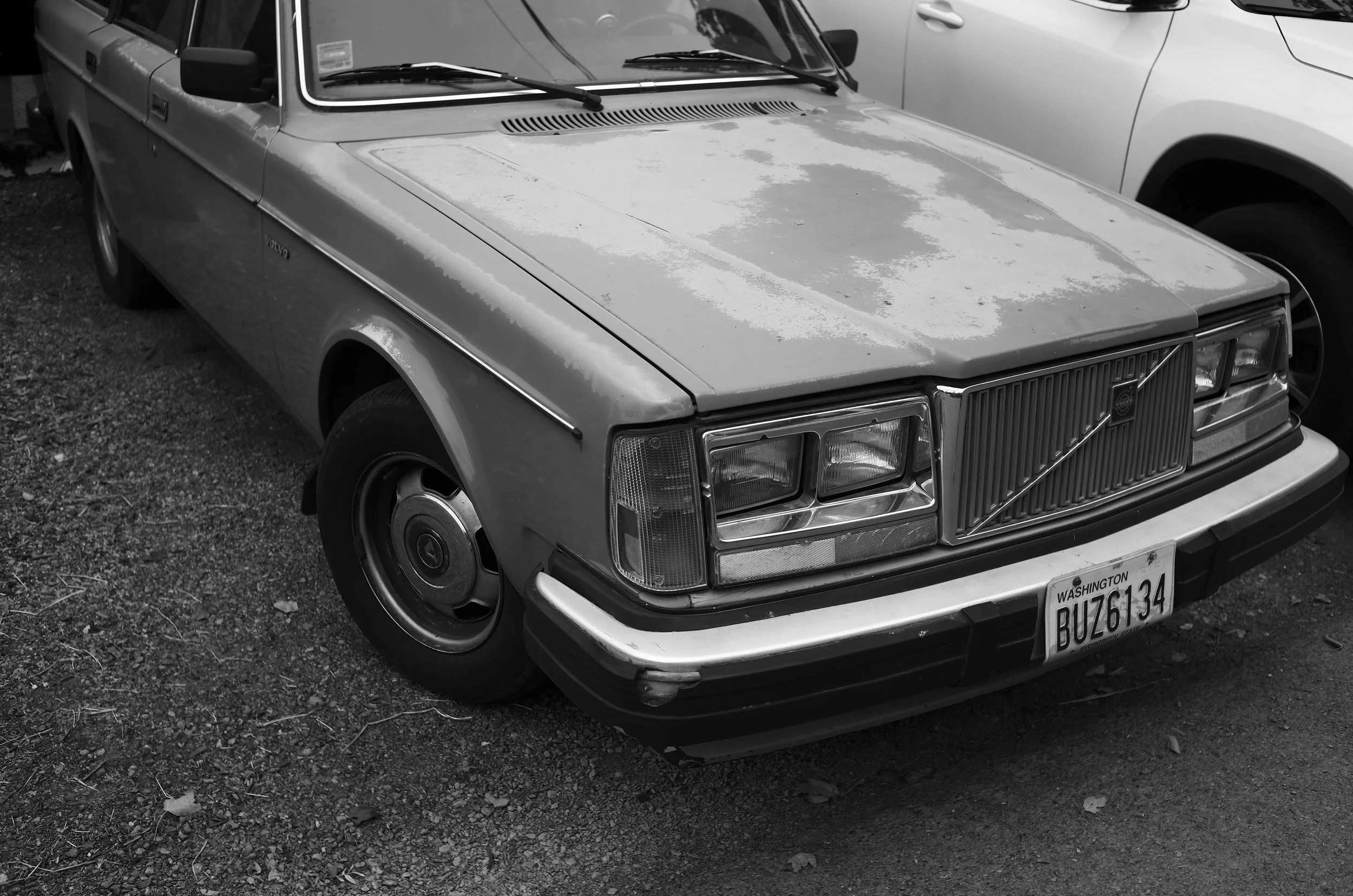L1002789.jpeg