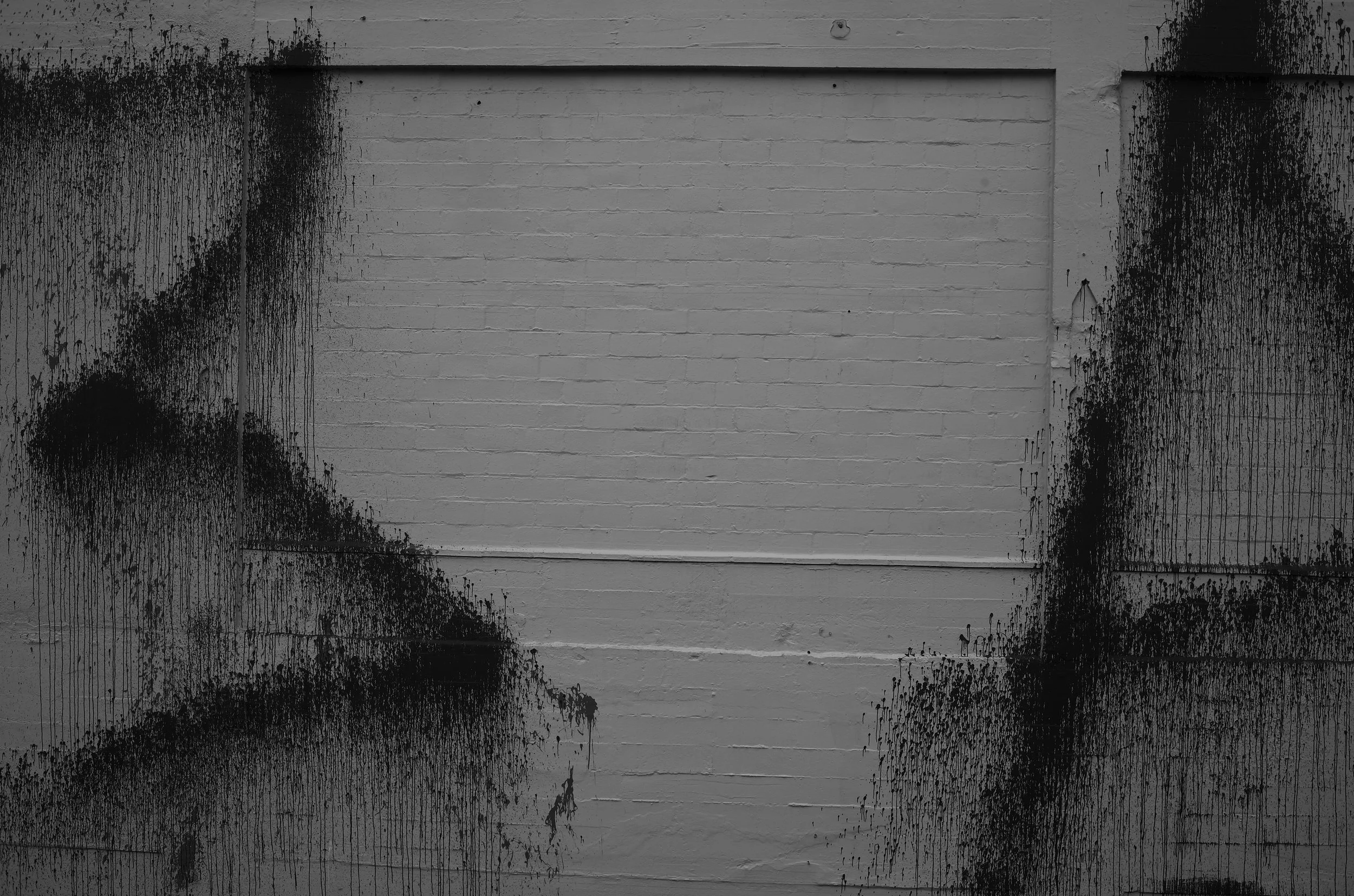 L1002806.jpeg