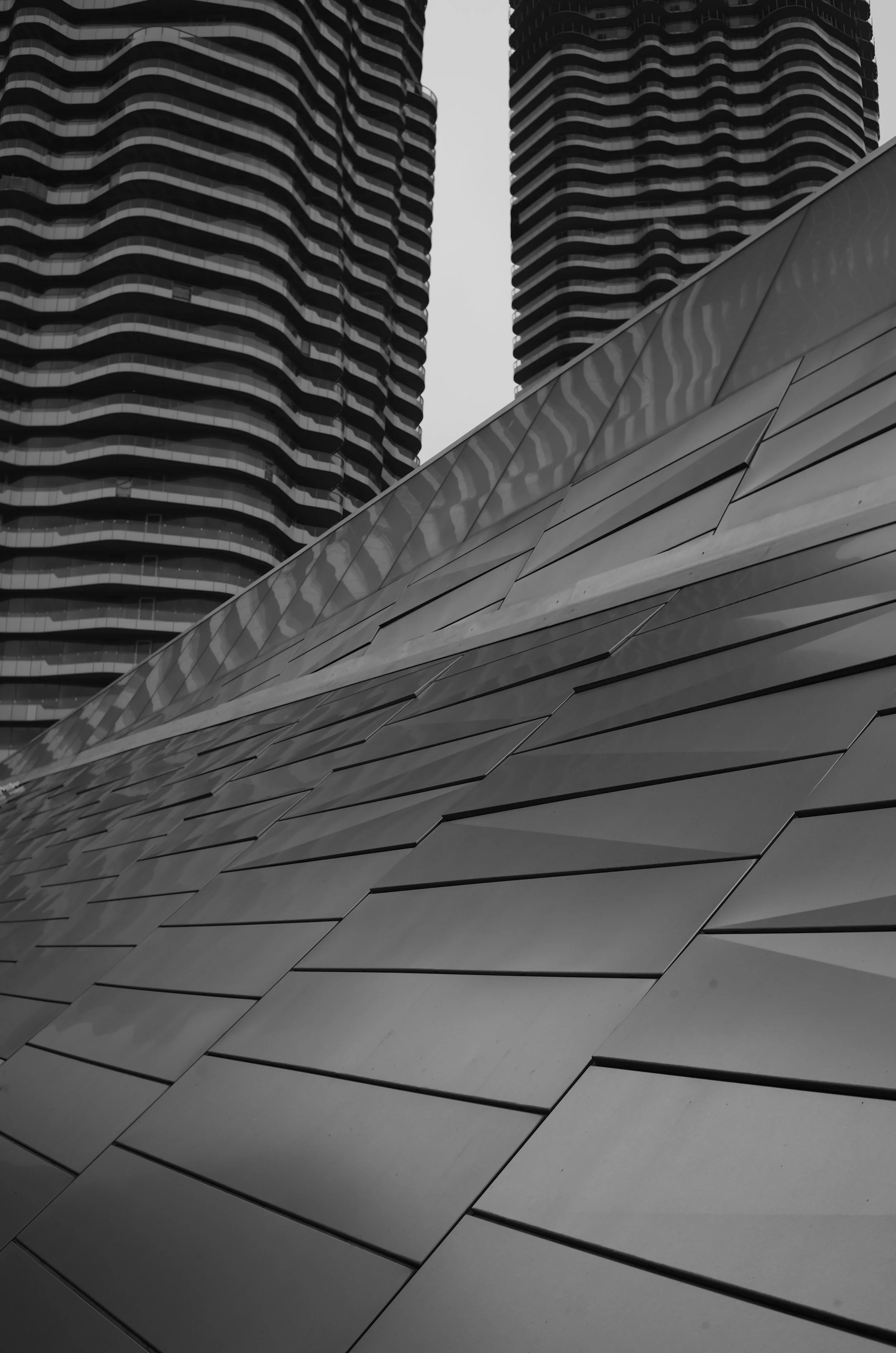 L1002932.jpeg