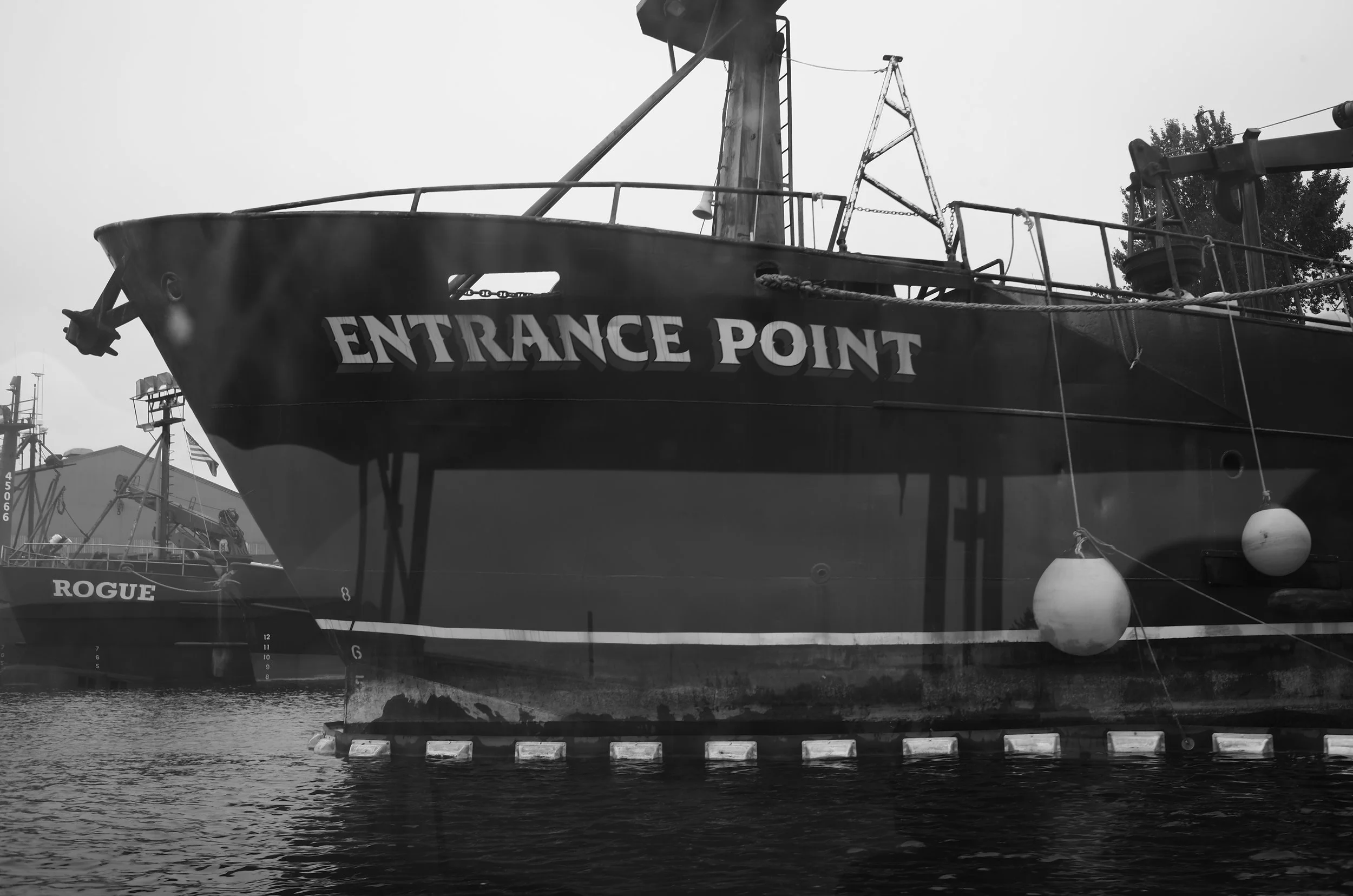L1003014.jpeg