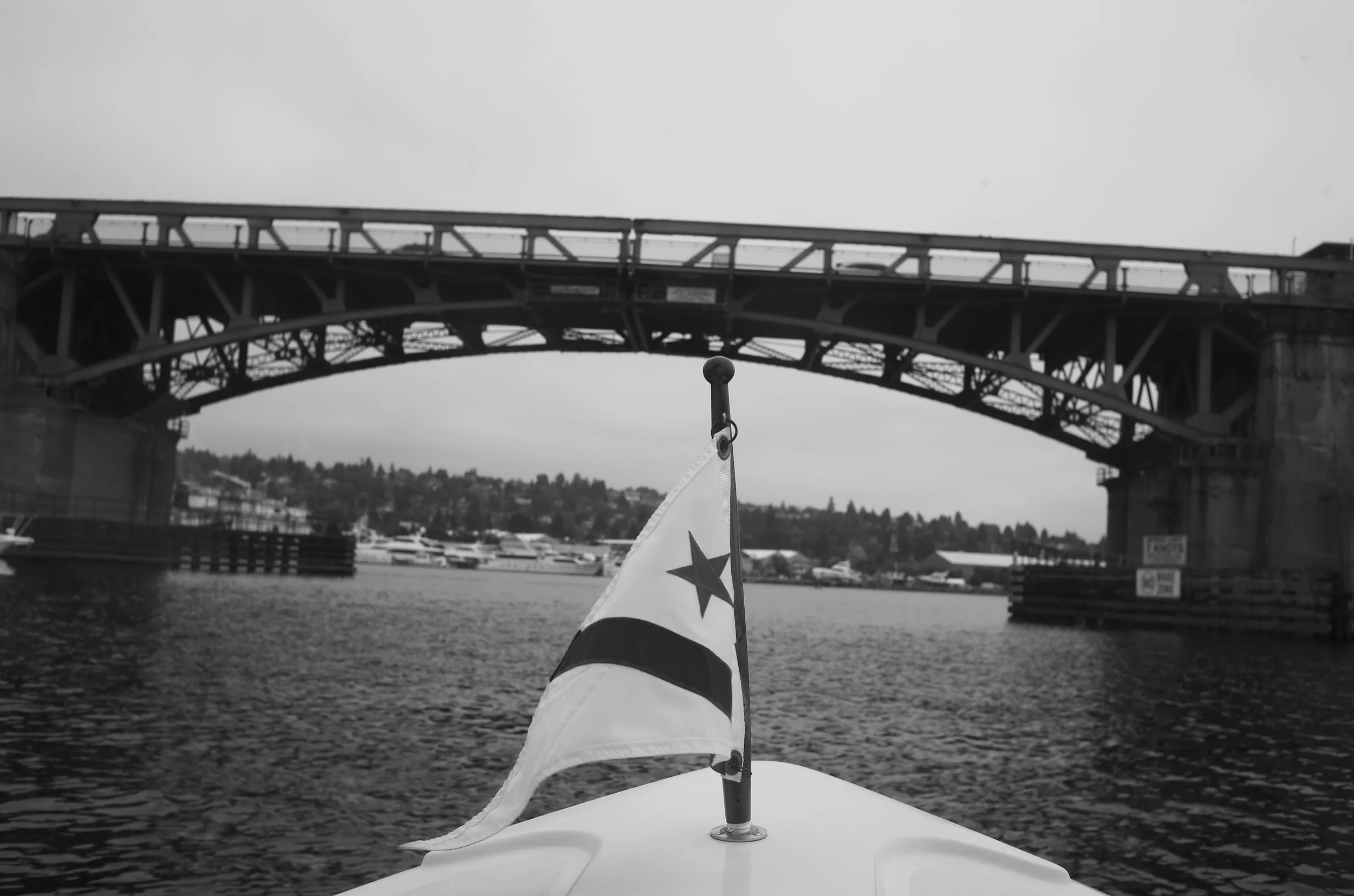 L1003016.jpeg