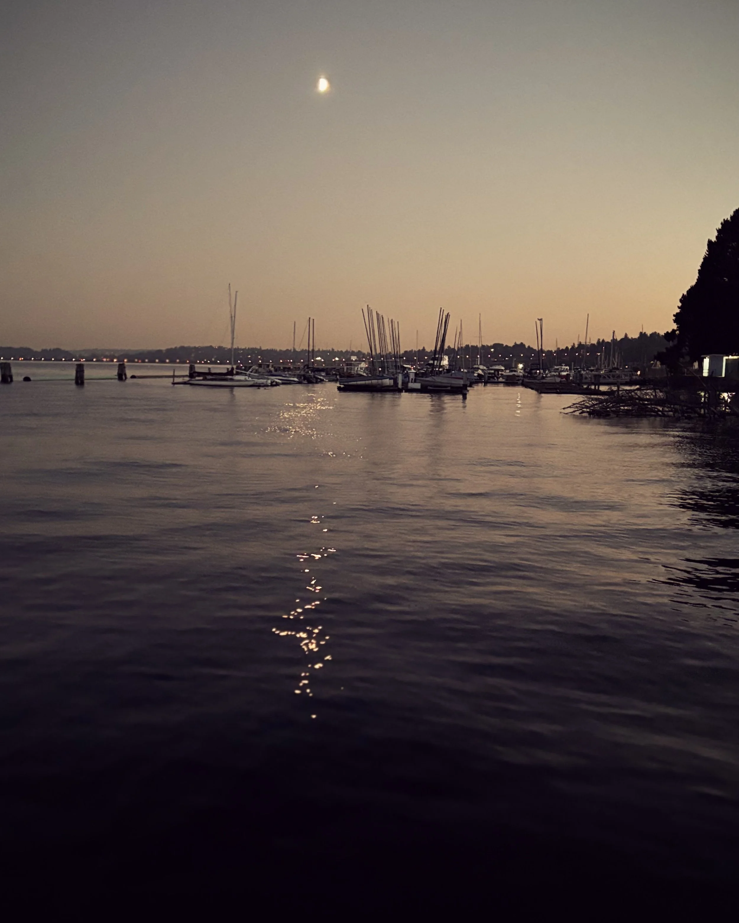 IMG_2805.jpeg