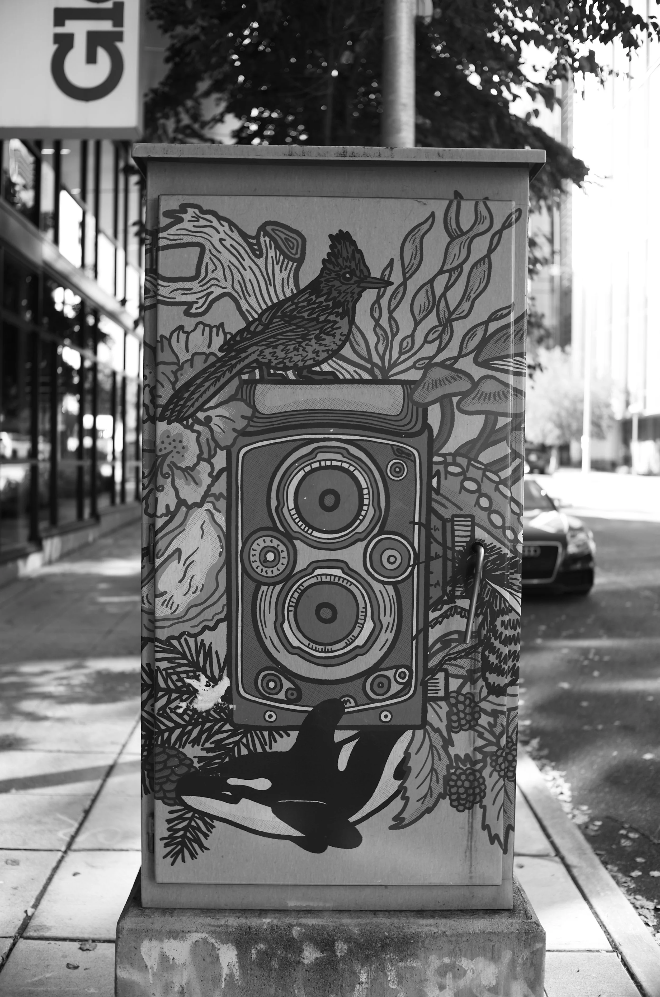 L1003042.jpeg