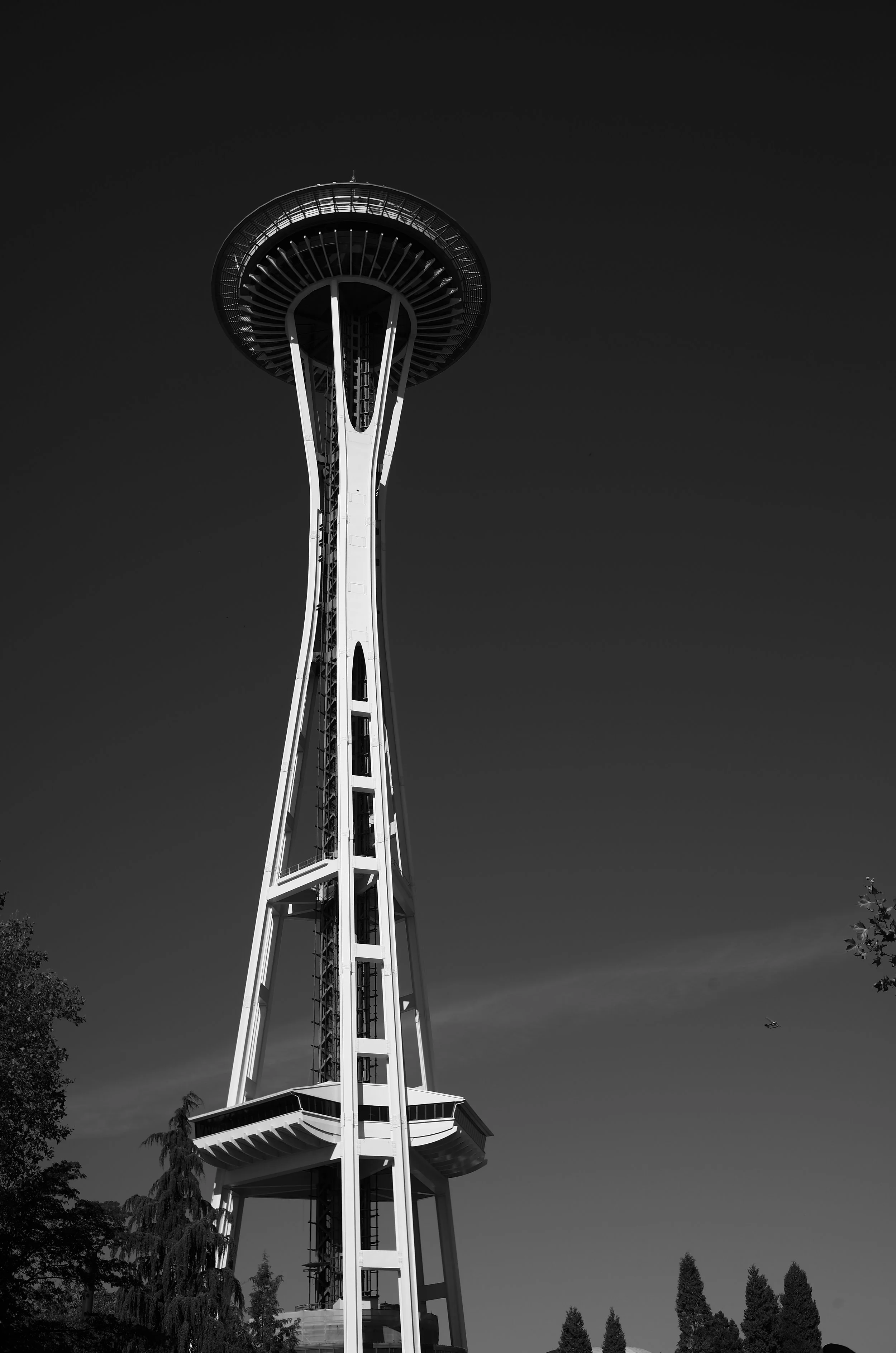L1003059.jpeg