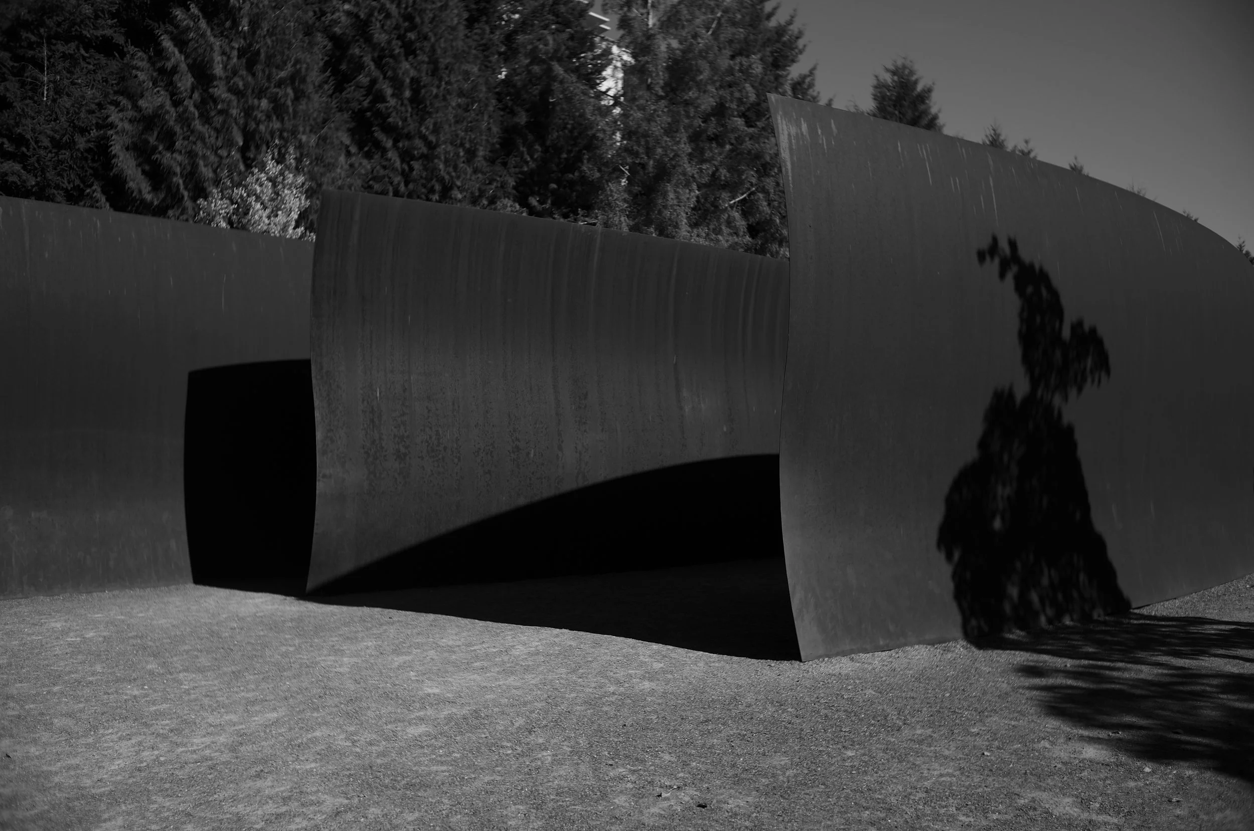 L1003066.jpeg