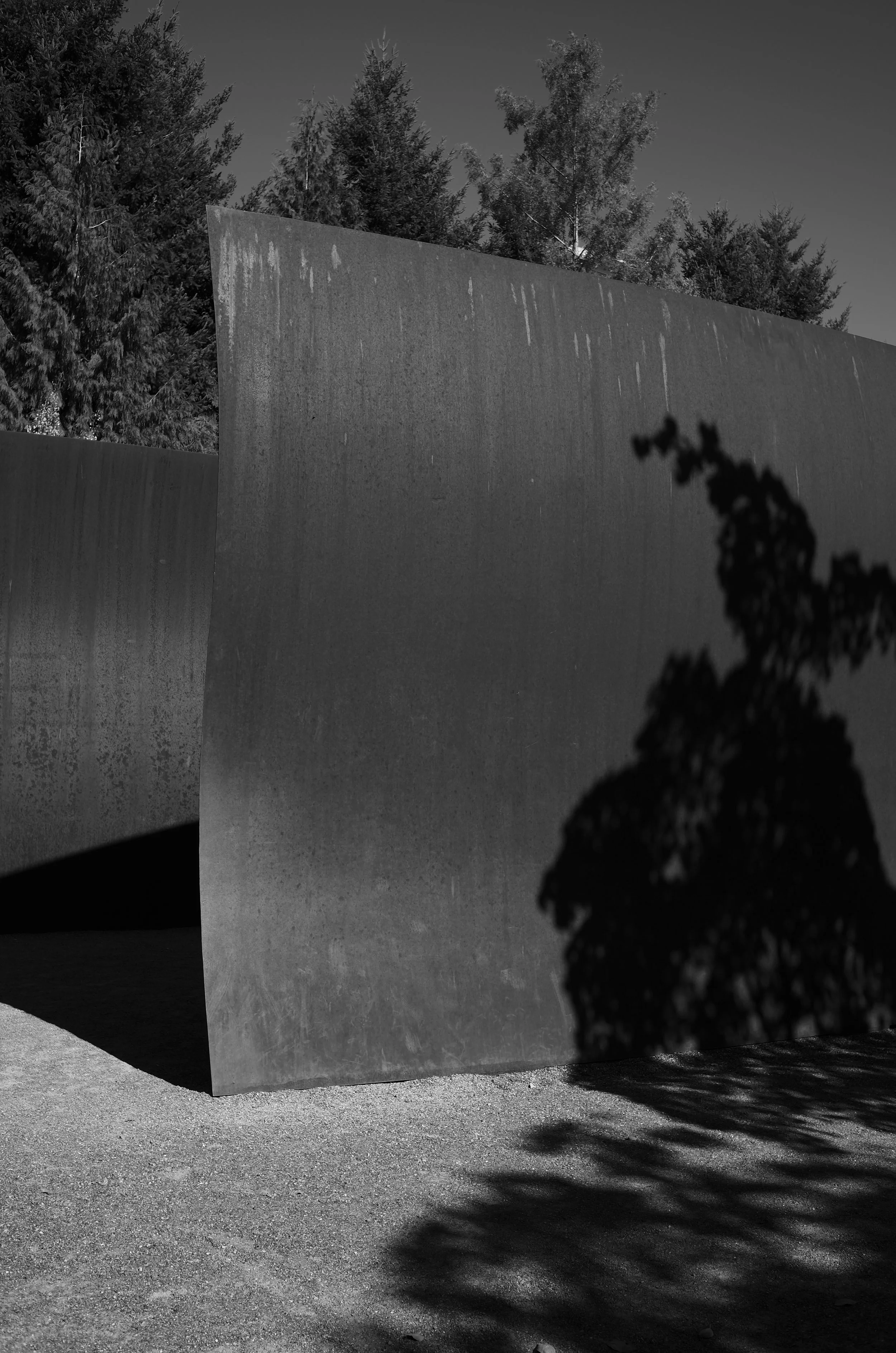 L1003072.jpeg