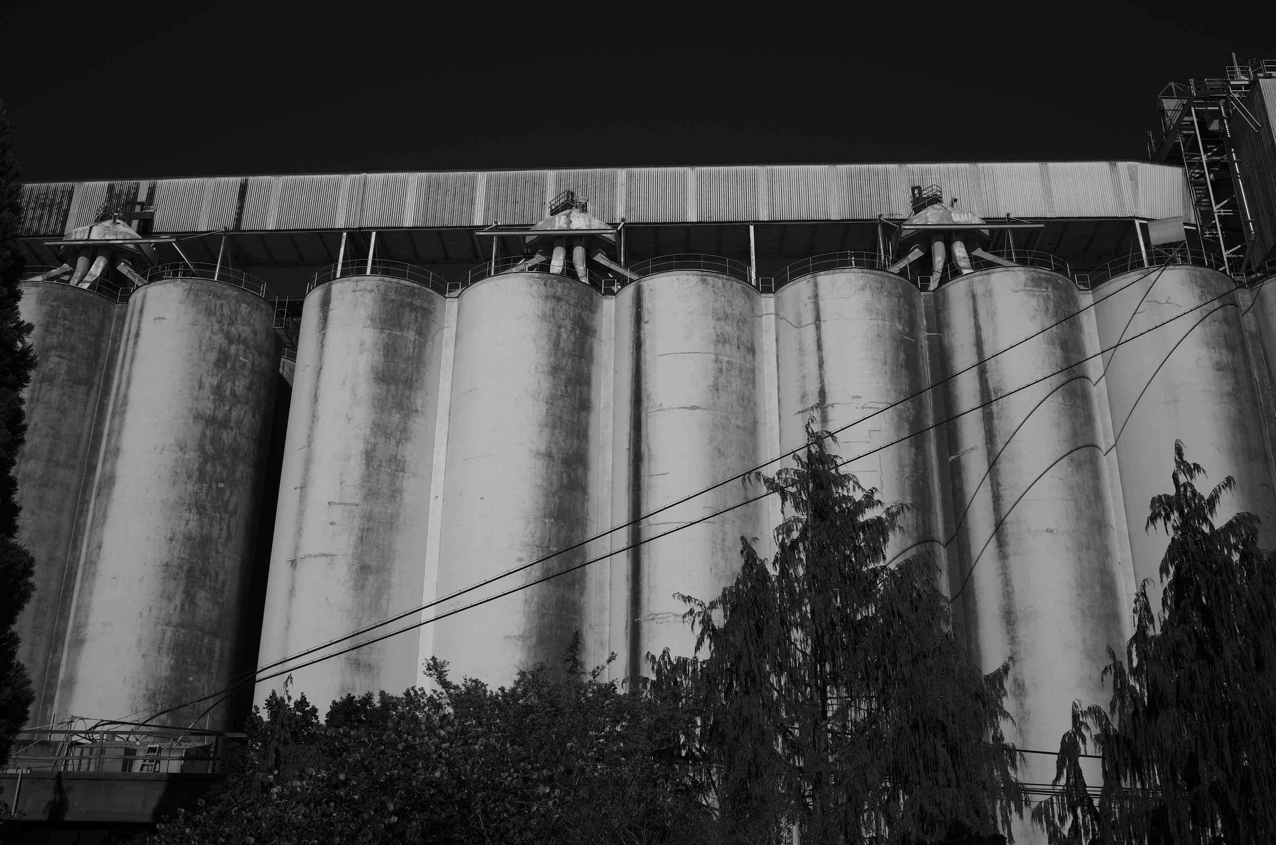 L1003090.jpeg