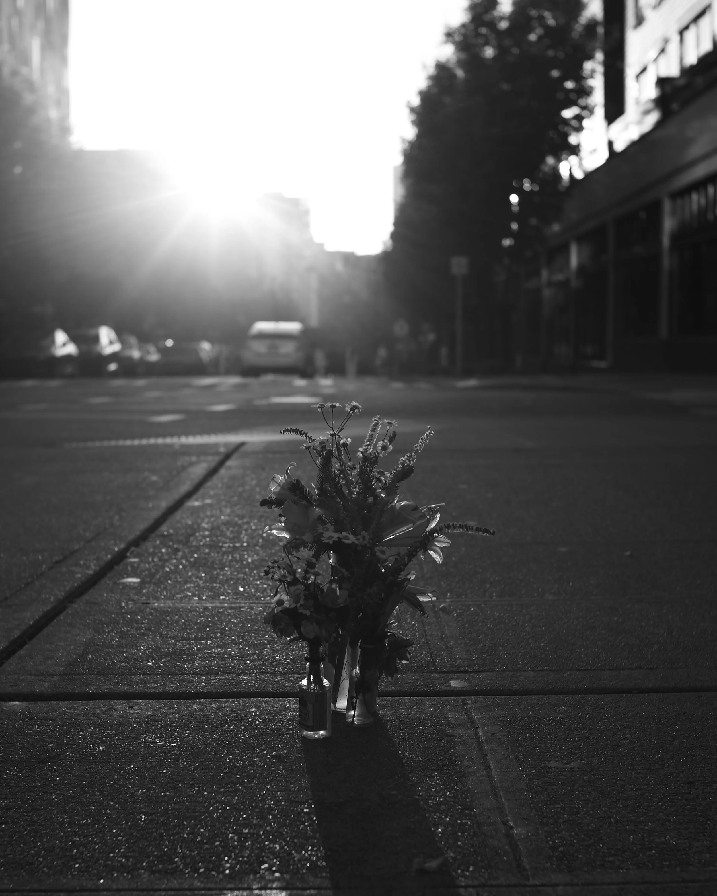 L1003123.jpeg