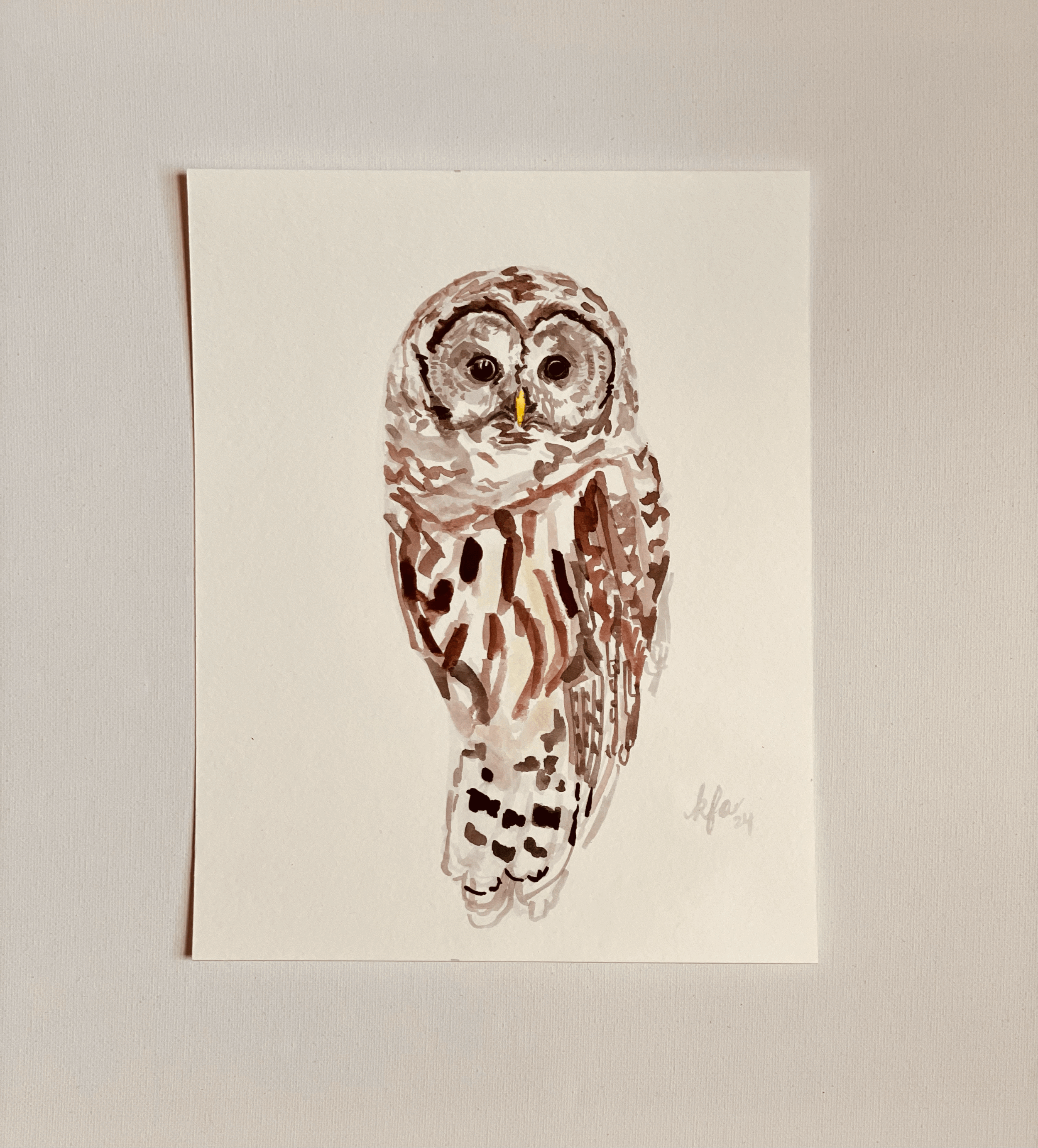 Barred Owl