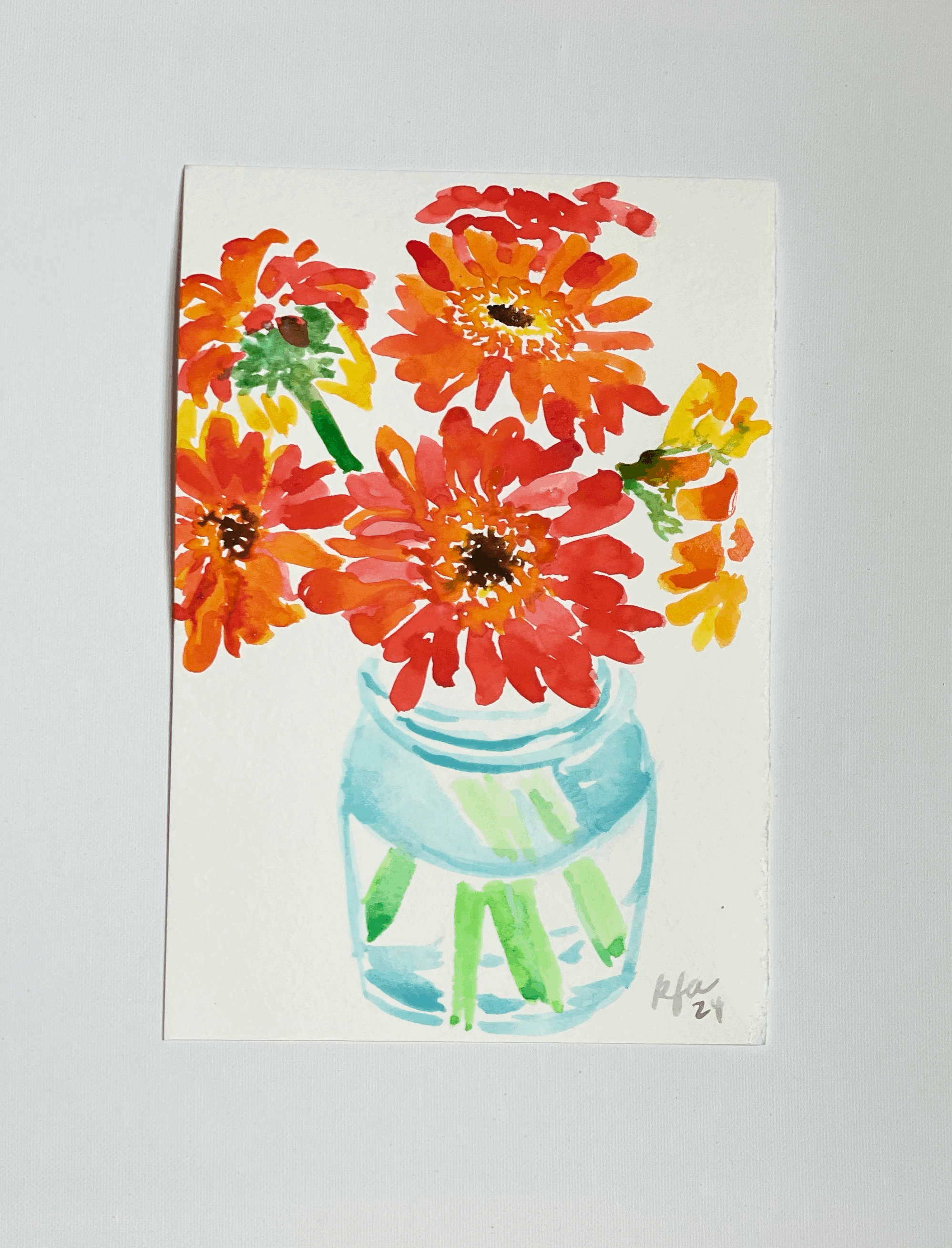 Gerbera Daises