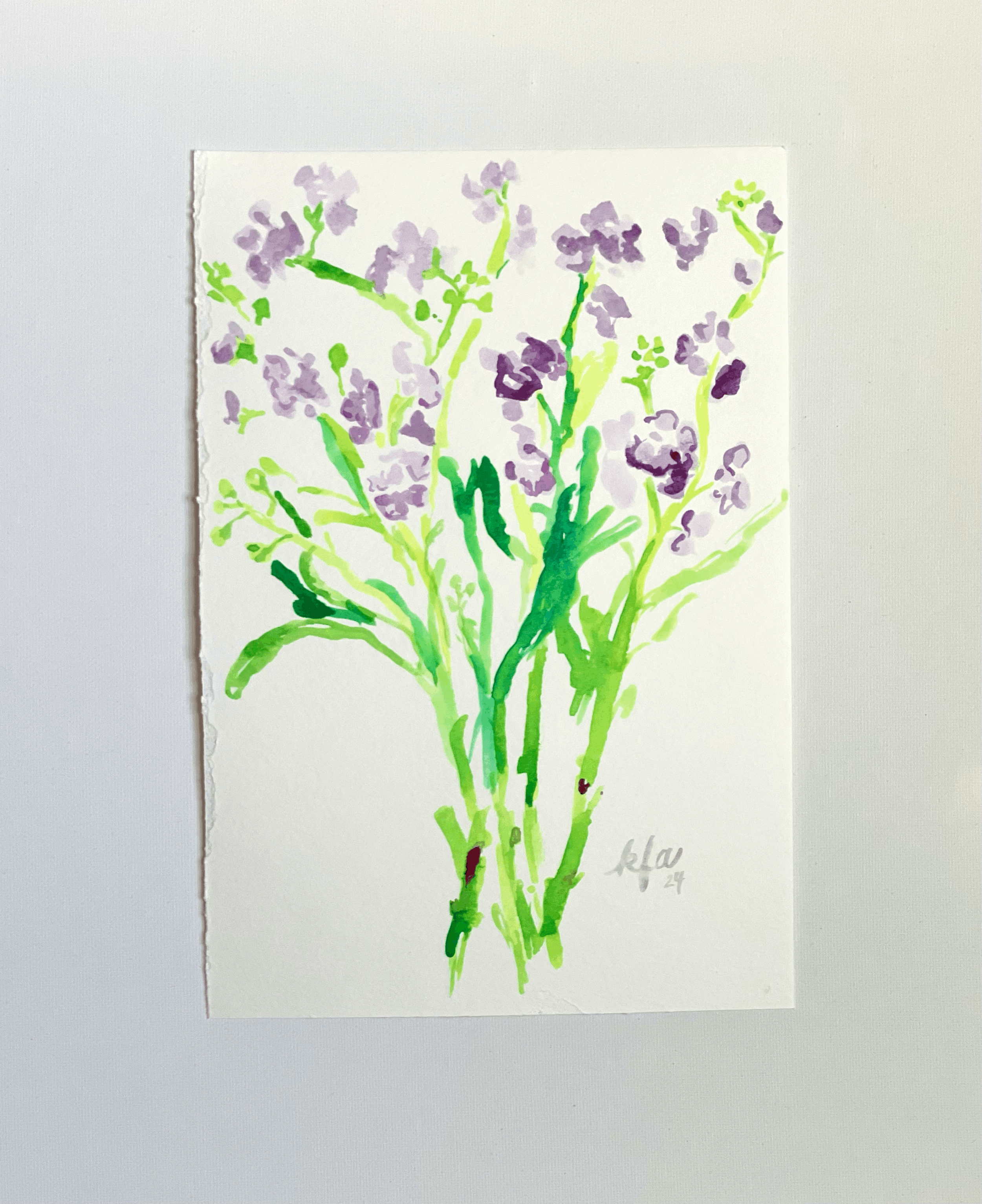 Purple Stock Flowers 1