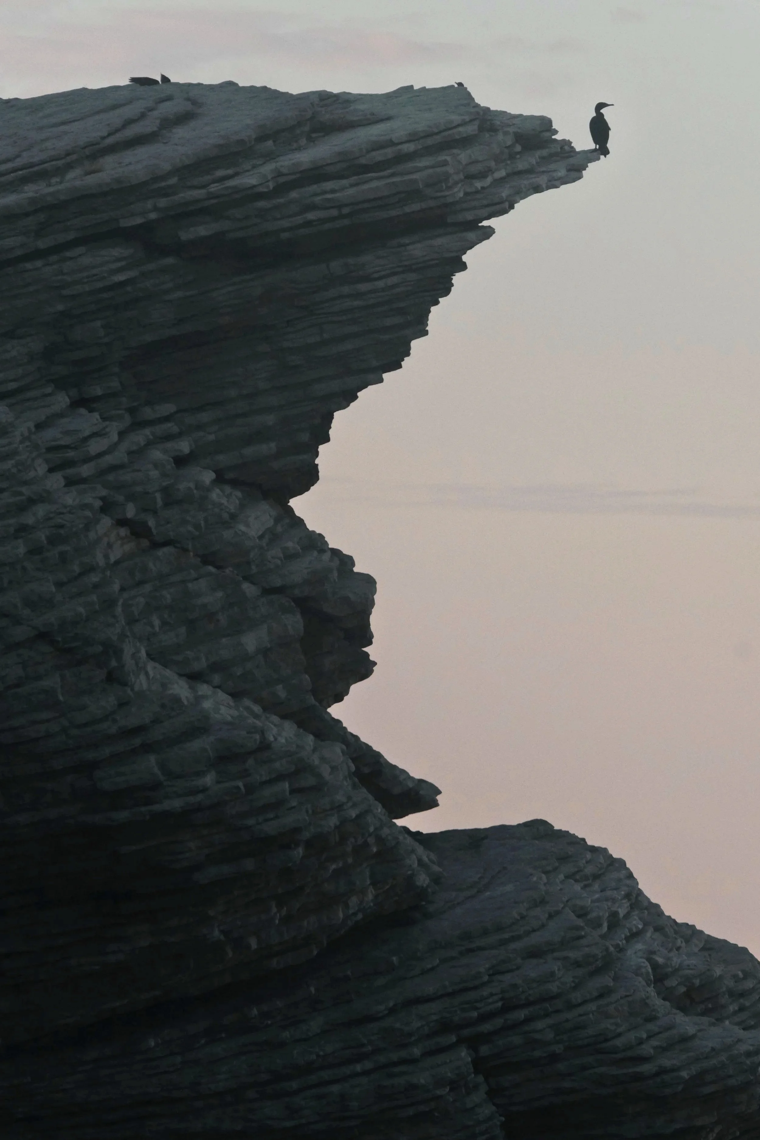  where the mountains drop into the sea  the birds hunt demons   