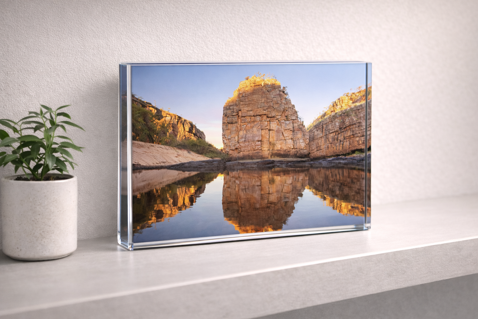 ChatGPT Image Feb 13, 2026, 12_49_00 PM.png