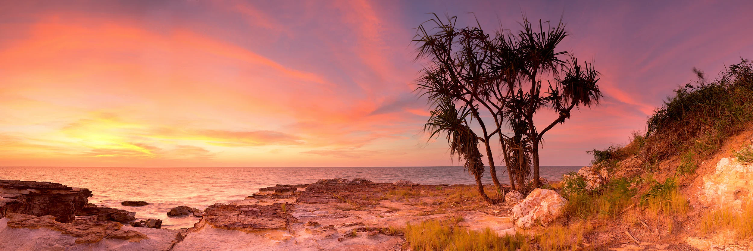pandanus1.jpg