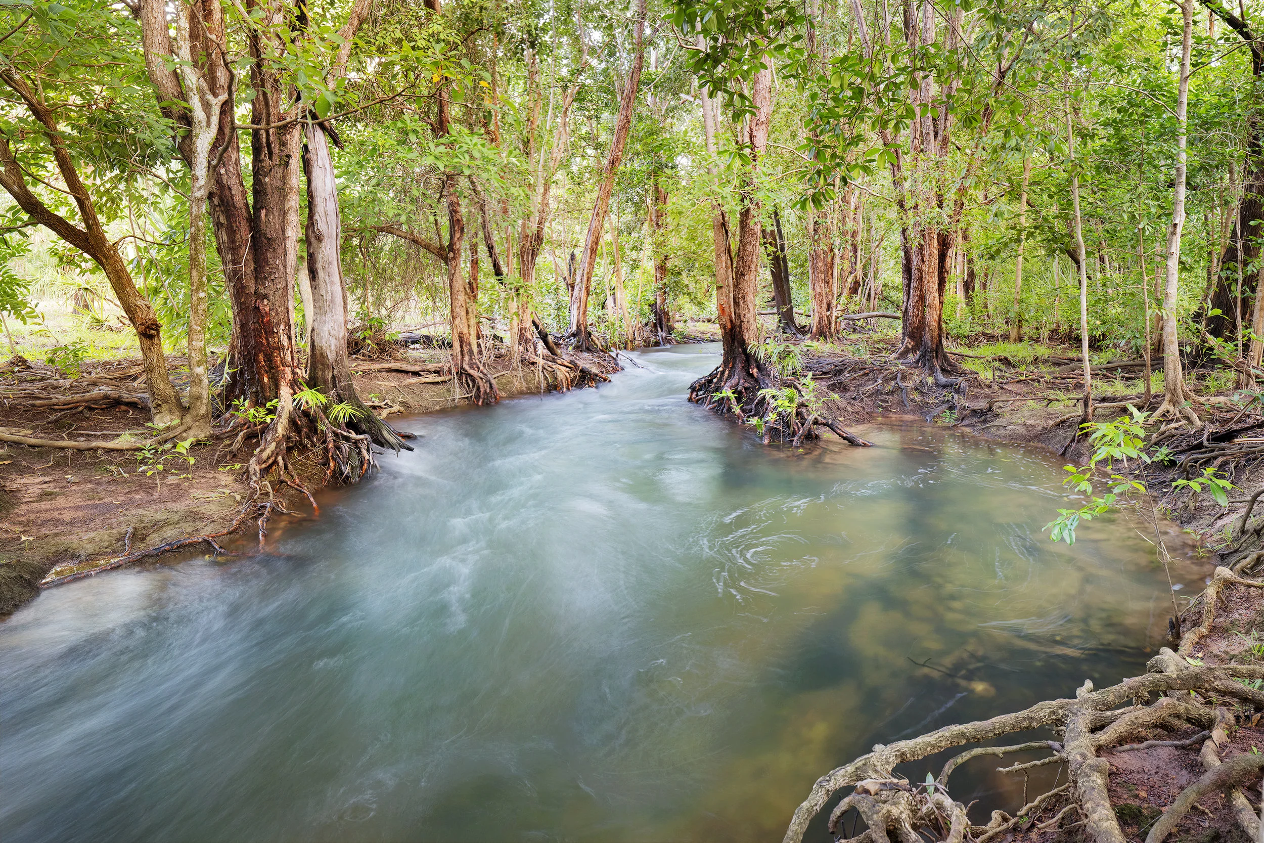 rapid creek pano2.jpg