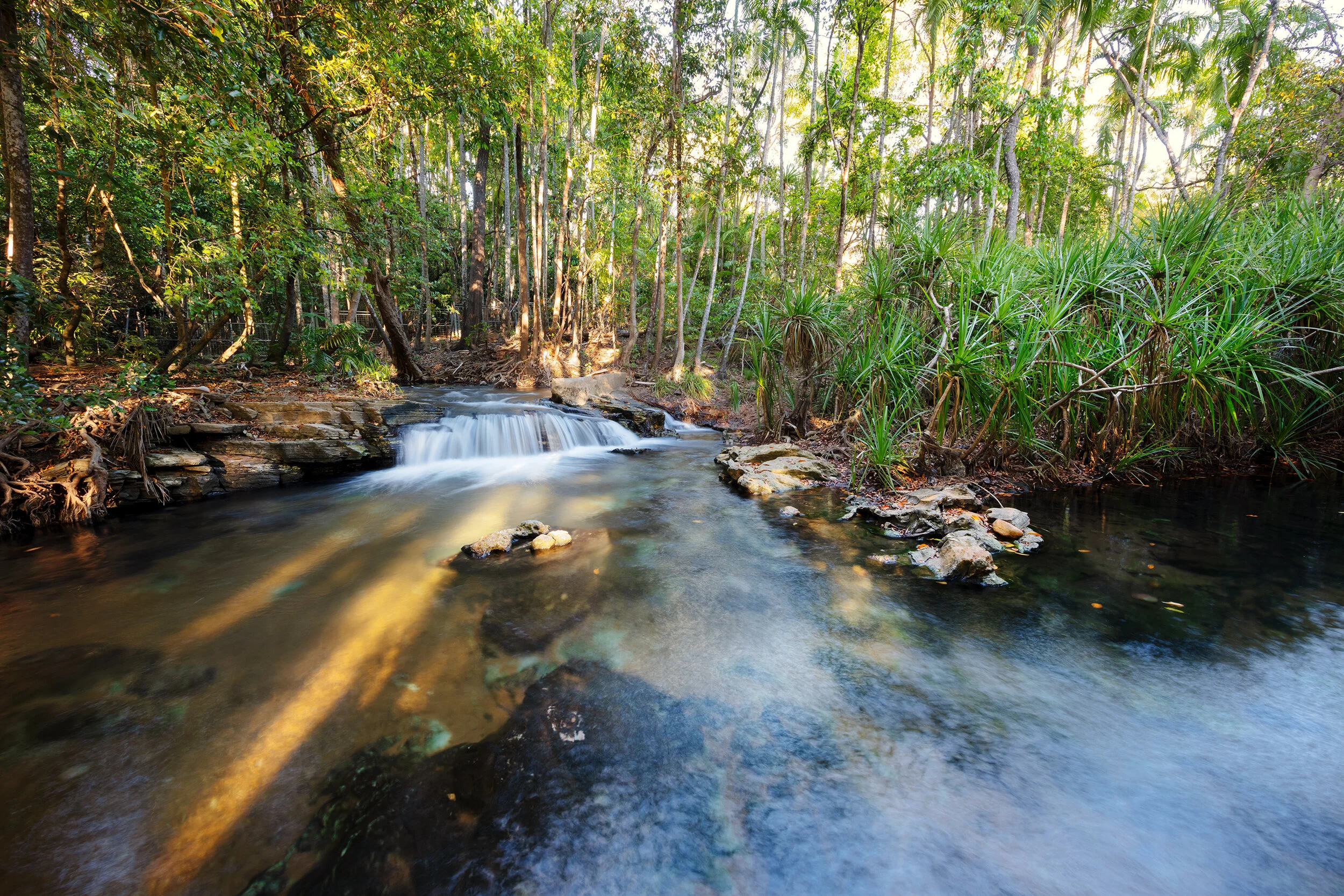 Berry Springs6x9.jpg