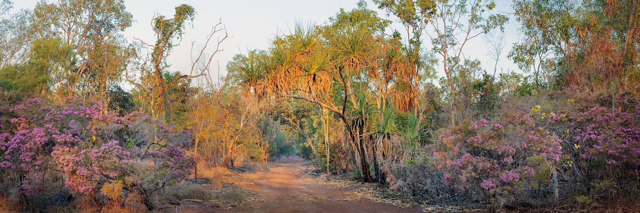 Dry+Season_2048px_100ppi.jpg