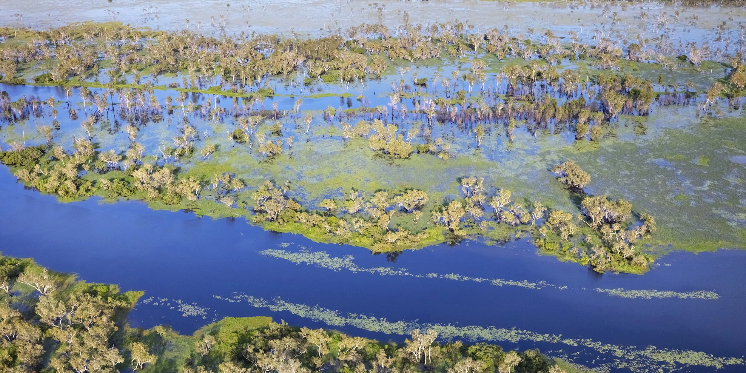 floodplains aerial1 LR.jpg (Copy)