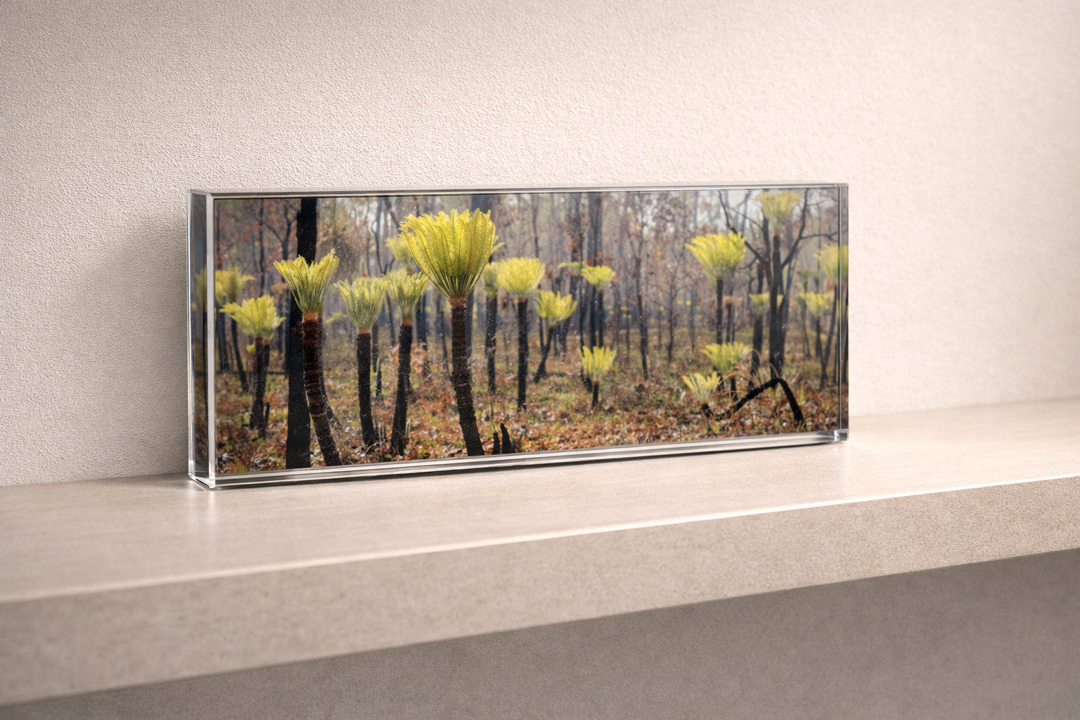 ChatGPT Image Feb 13, 2026, 12_41_41 PM.png