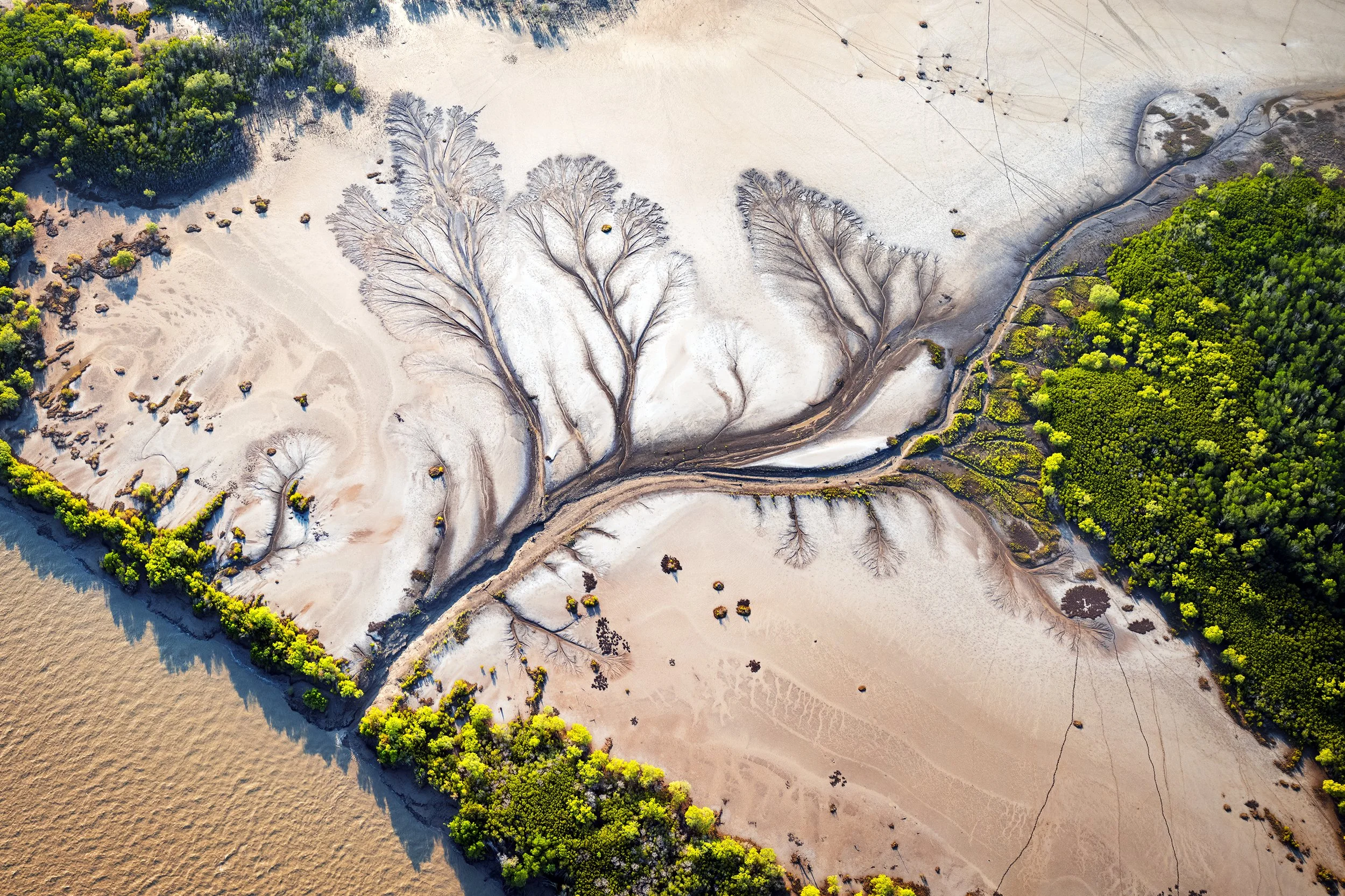 Tidal Patterns_0526 LR.jpg (Copy)