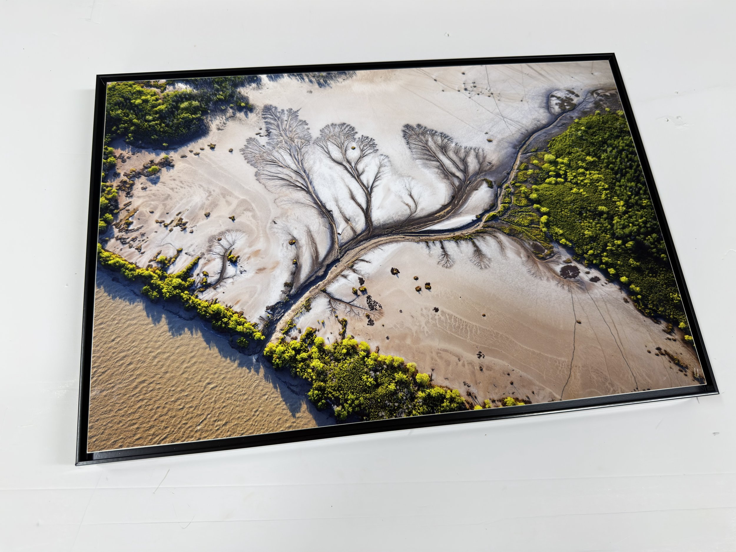 IMG_3247.jpeg (Copy)