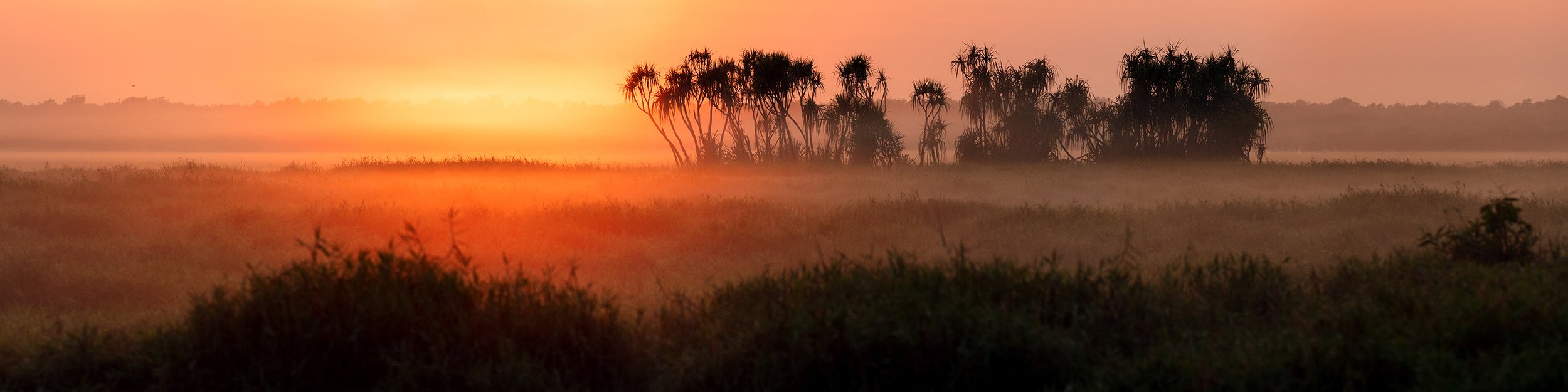 Misty Floodplains_CorrobLR.jpg
