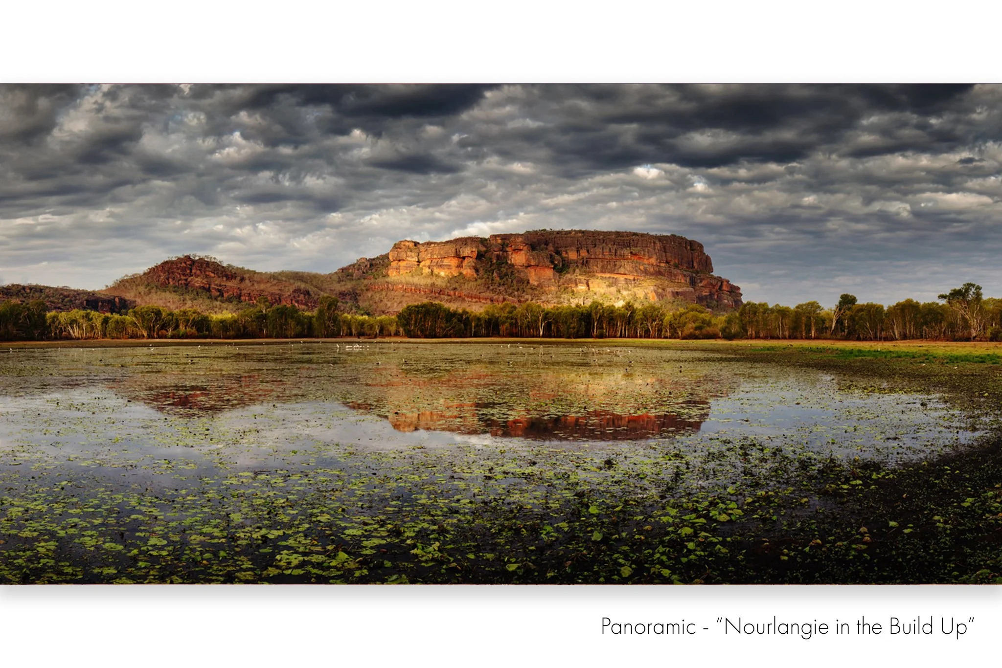 Nourlangie 18x36cm LR copy.jpg