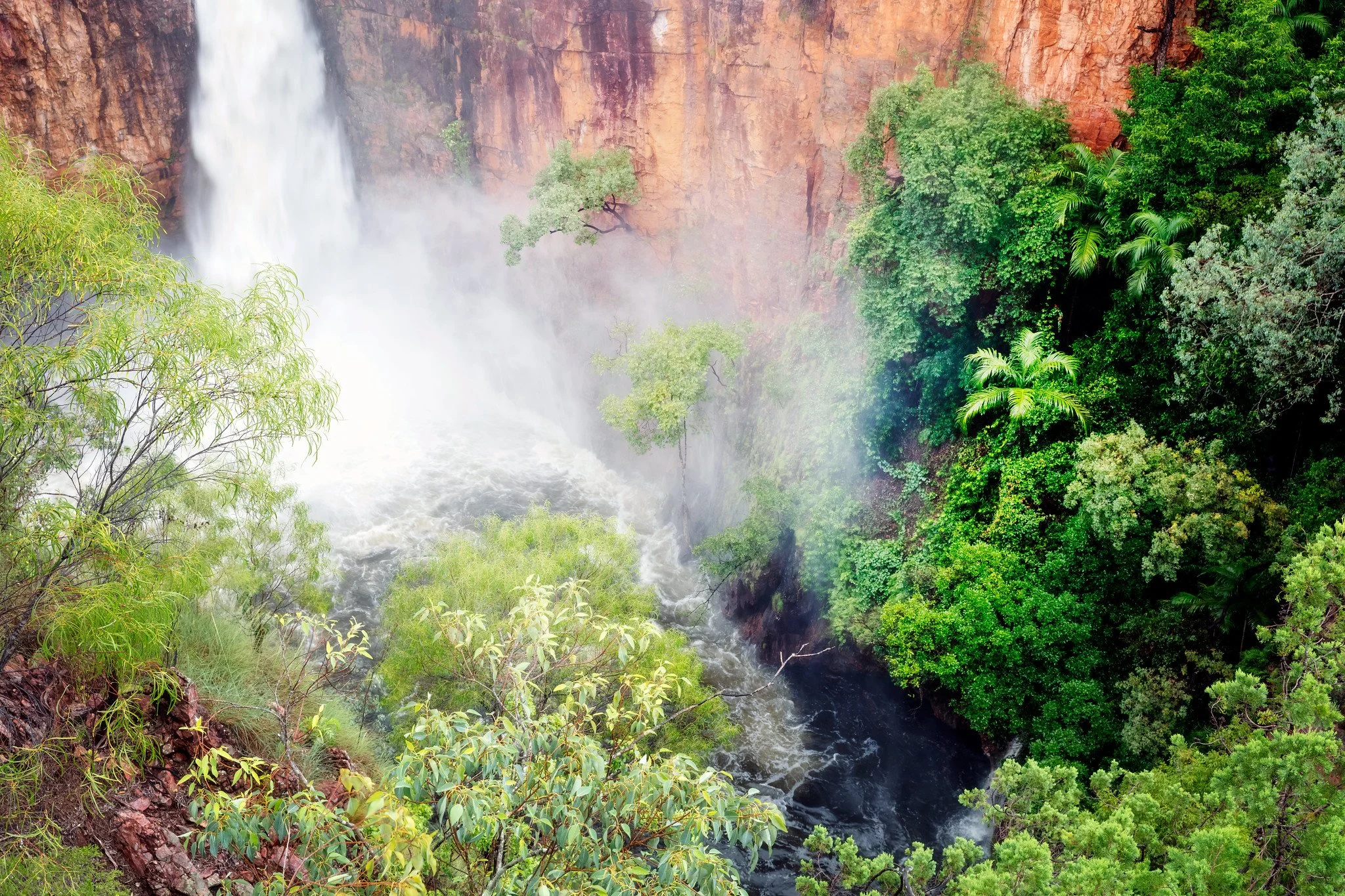 50910451796_5b57fa829b_k (1).jpg