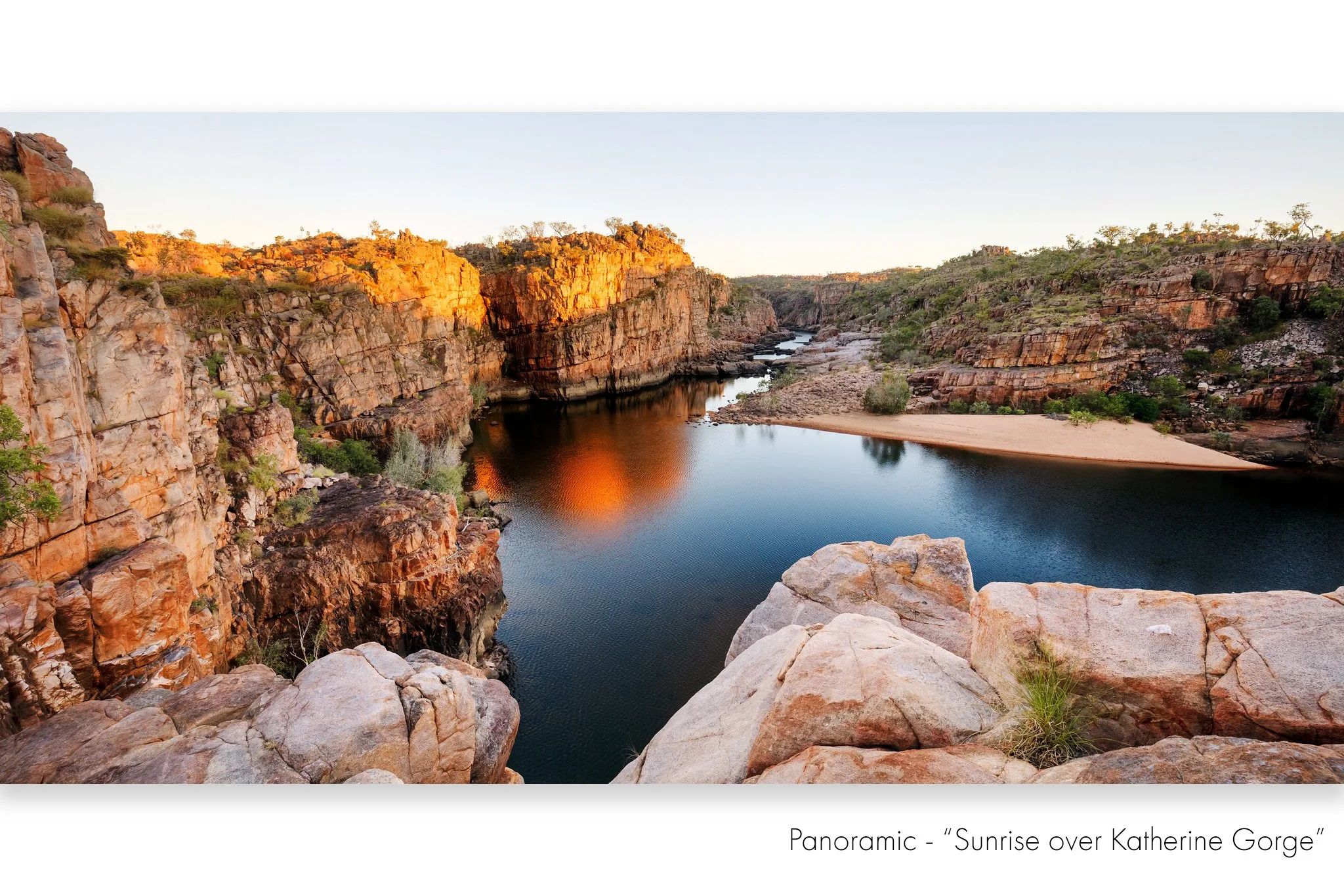 Sunrise Katherine6cm LR copy.jpg