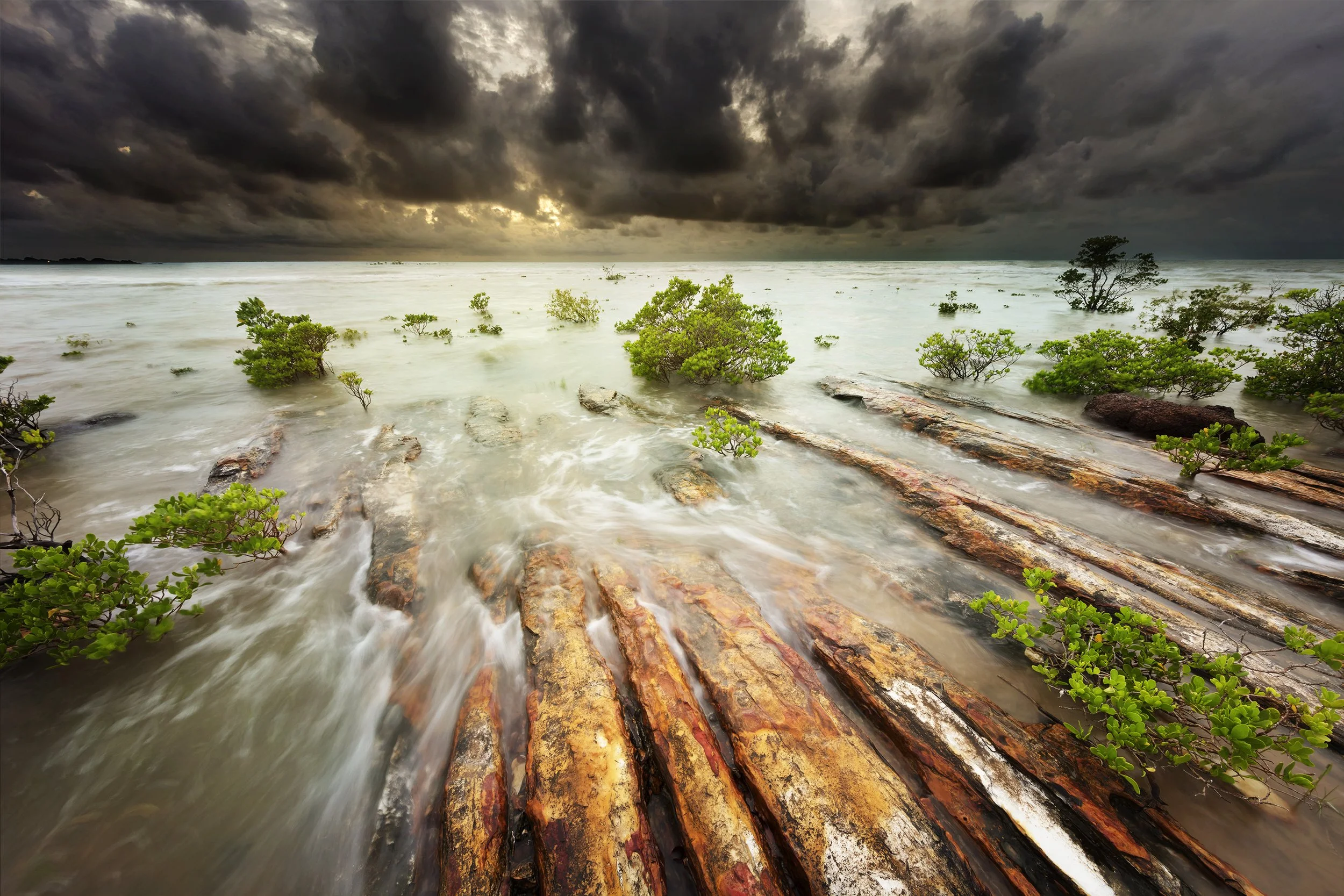Nightcliff and another mood