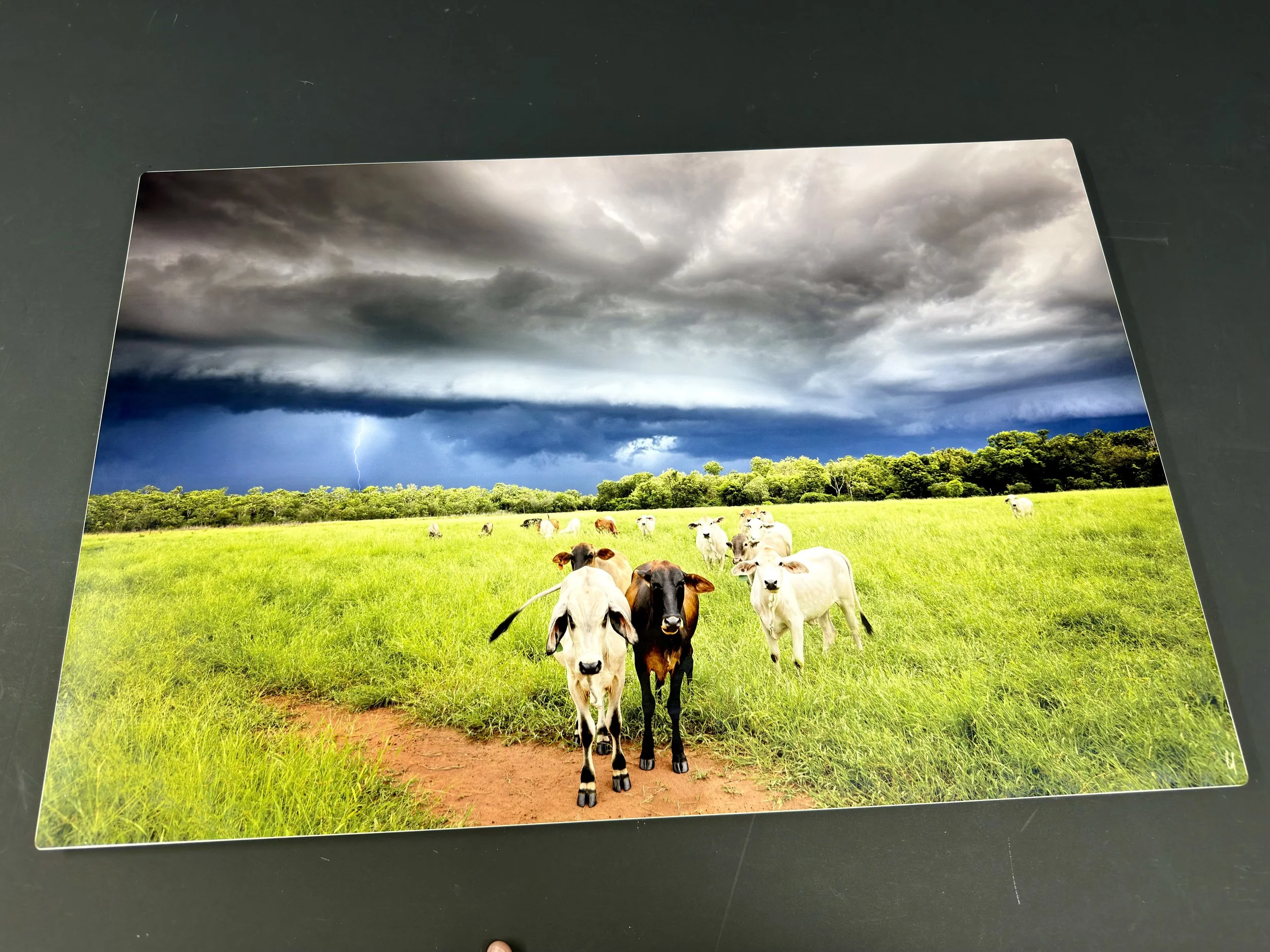 SECONDS STOCK - Read Description! Aluminium HD Print 20 x 30” (50 x 76cm)