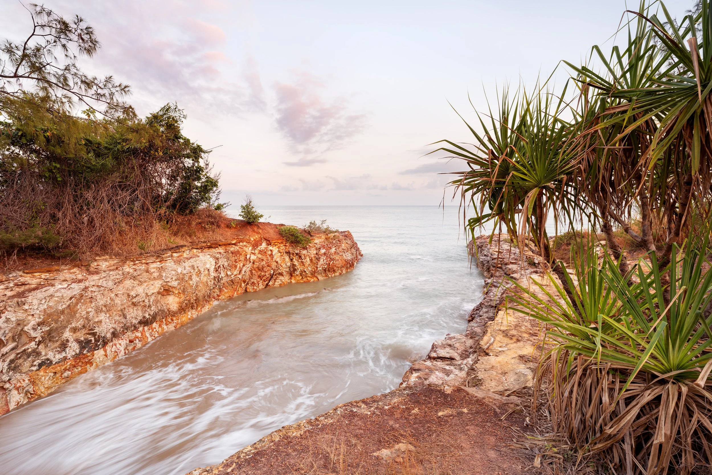 Casuarina Coast Awakens
