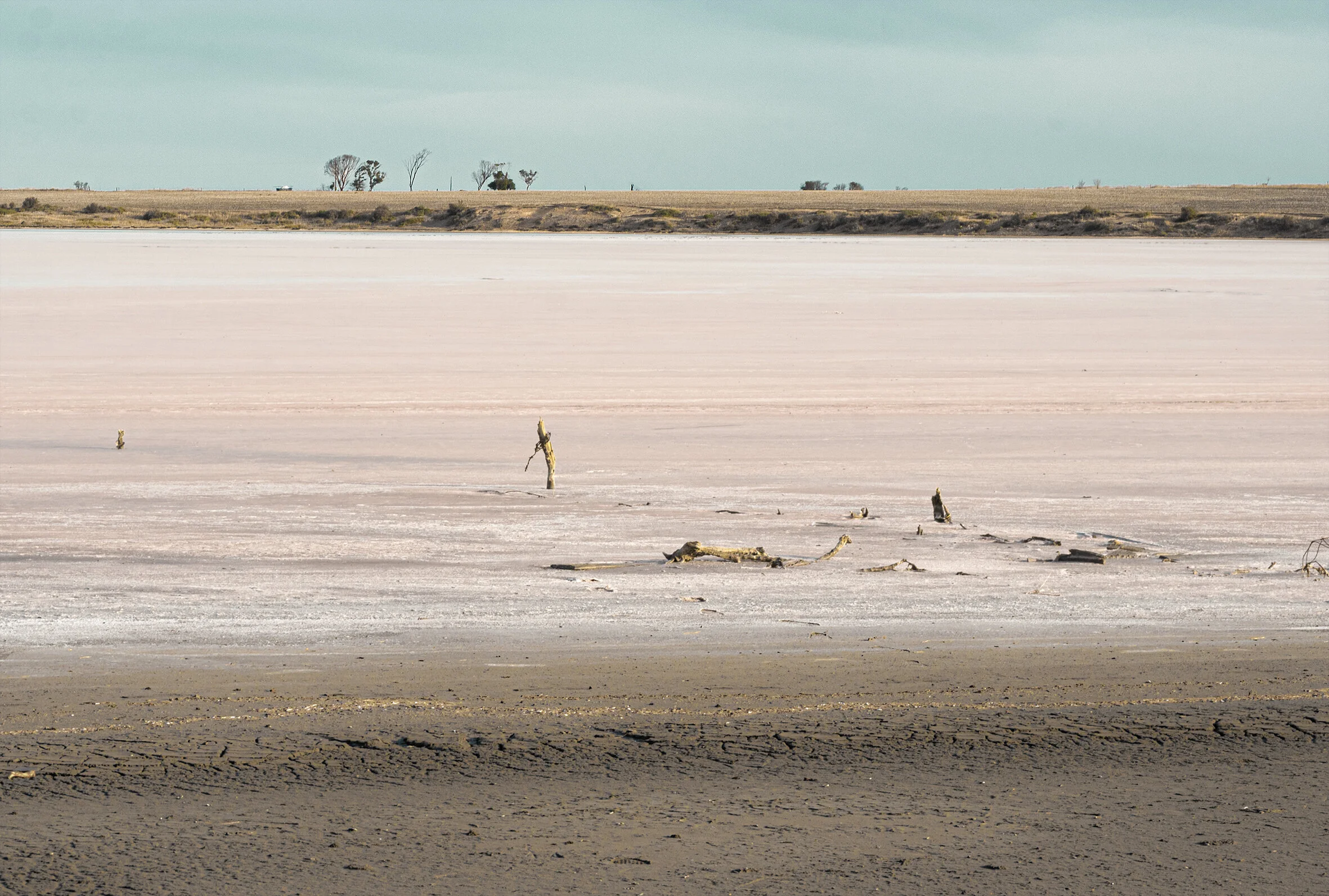 2021-05-23 16.20.48_v1_small.jpg