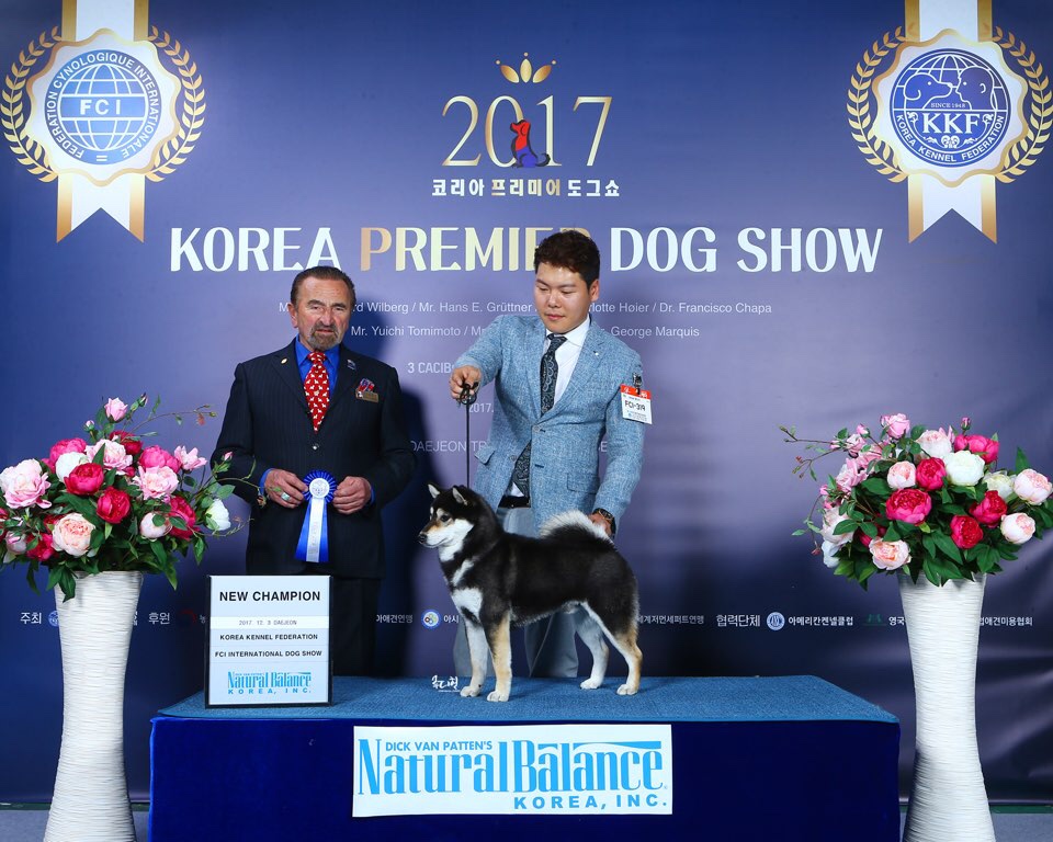 Dog_show1.jpeg