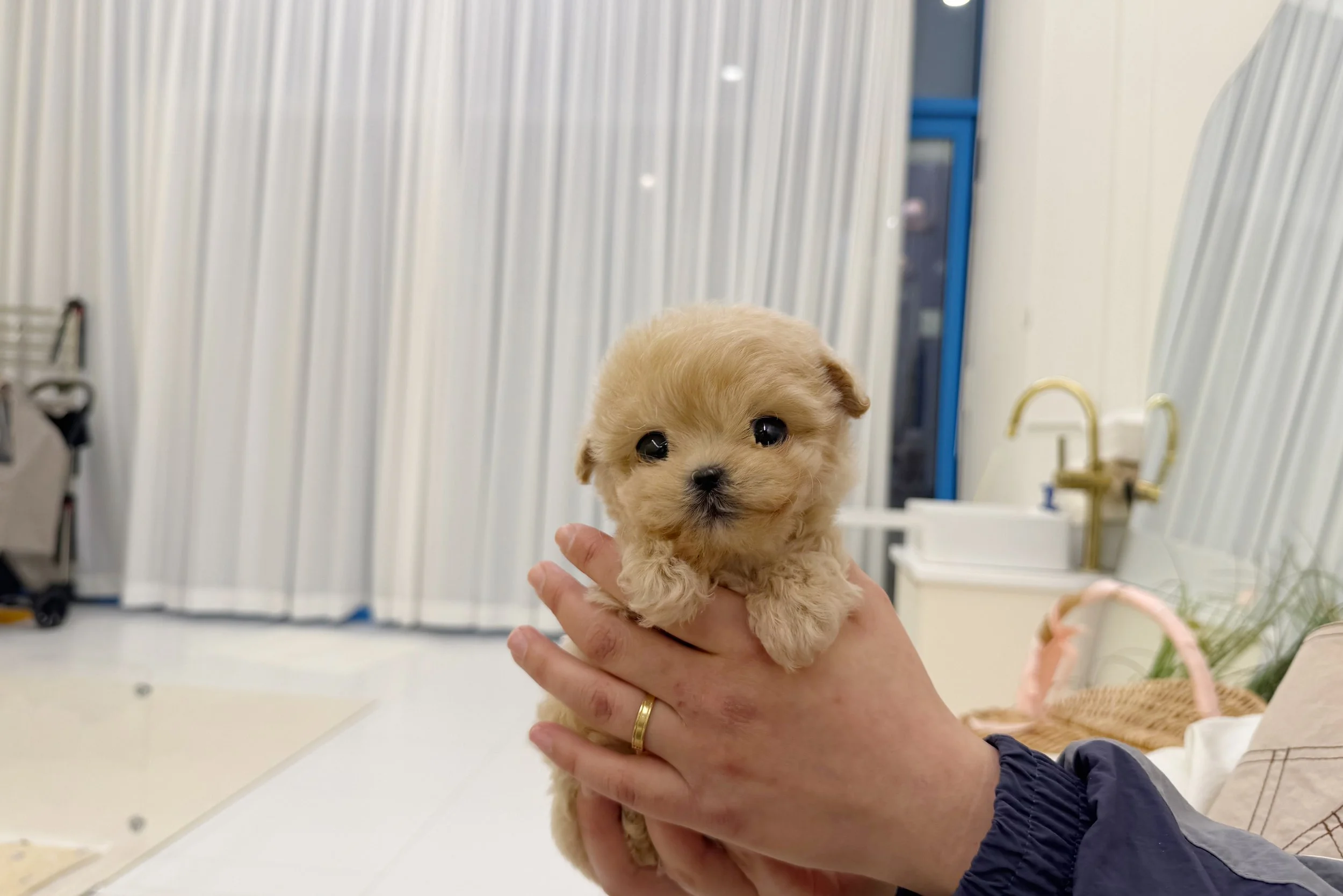 KakaoTalk_20251204_233842602 복사.jpg
