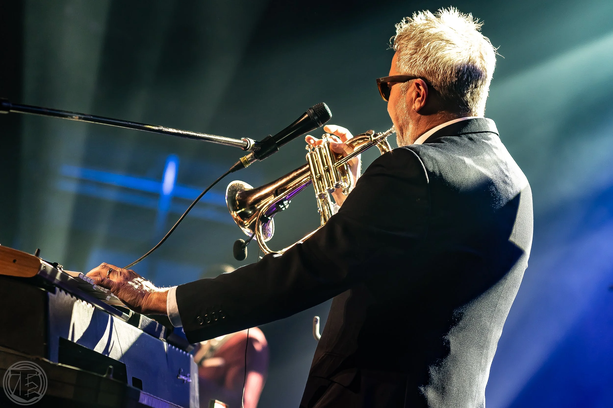 Fun Lovin Criminals 6.jpg
