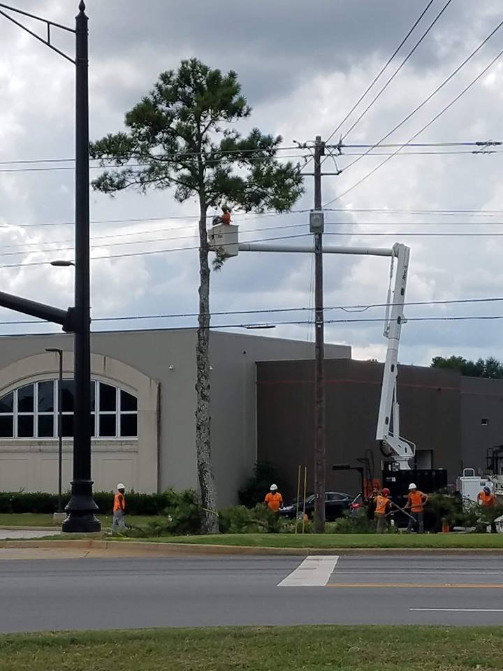 About Us Hall's Tree Service — Hall's Tree Service