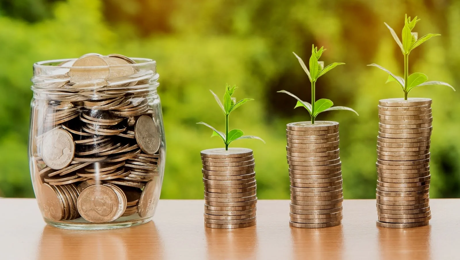 “Someone’s sitting in the shade today because someone planted a tree a long time ago” - Warren Buffet, Investment Guru