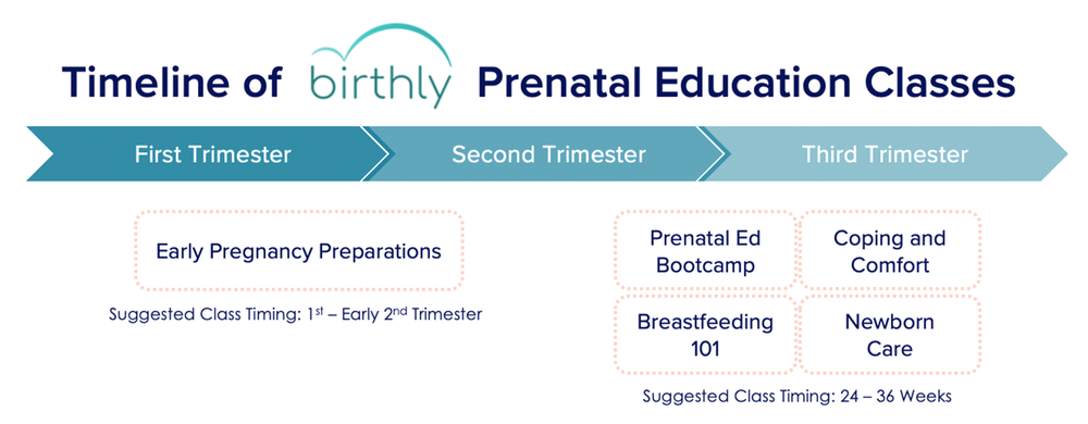 Online Childbirth Classes and Prenatal Education — Birthly