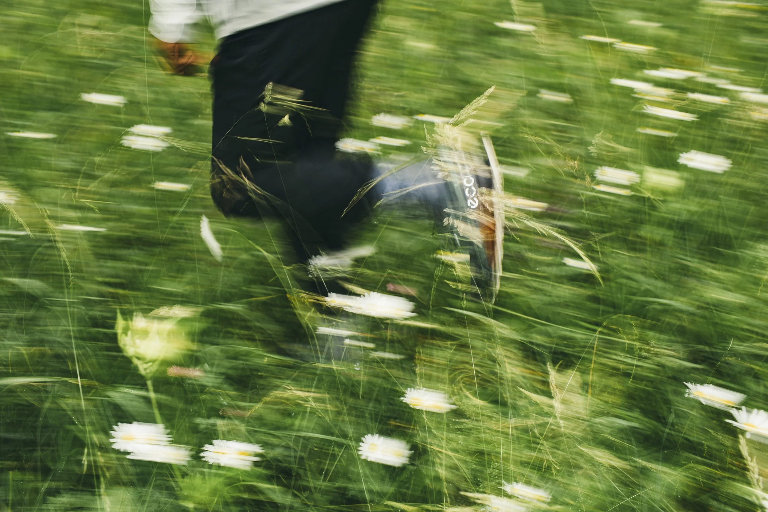 Biom2_20220627_2163 copy.jpg