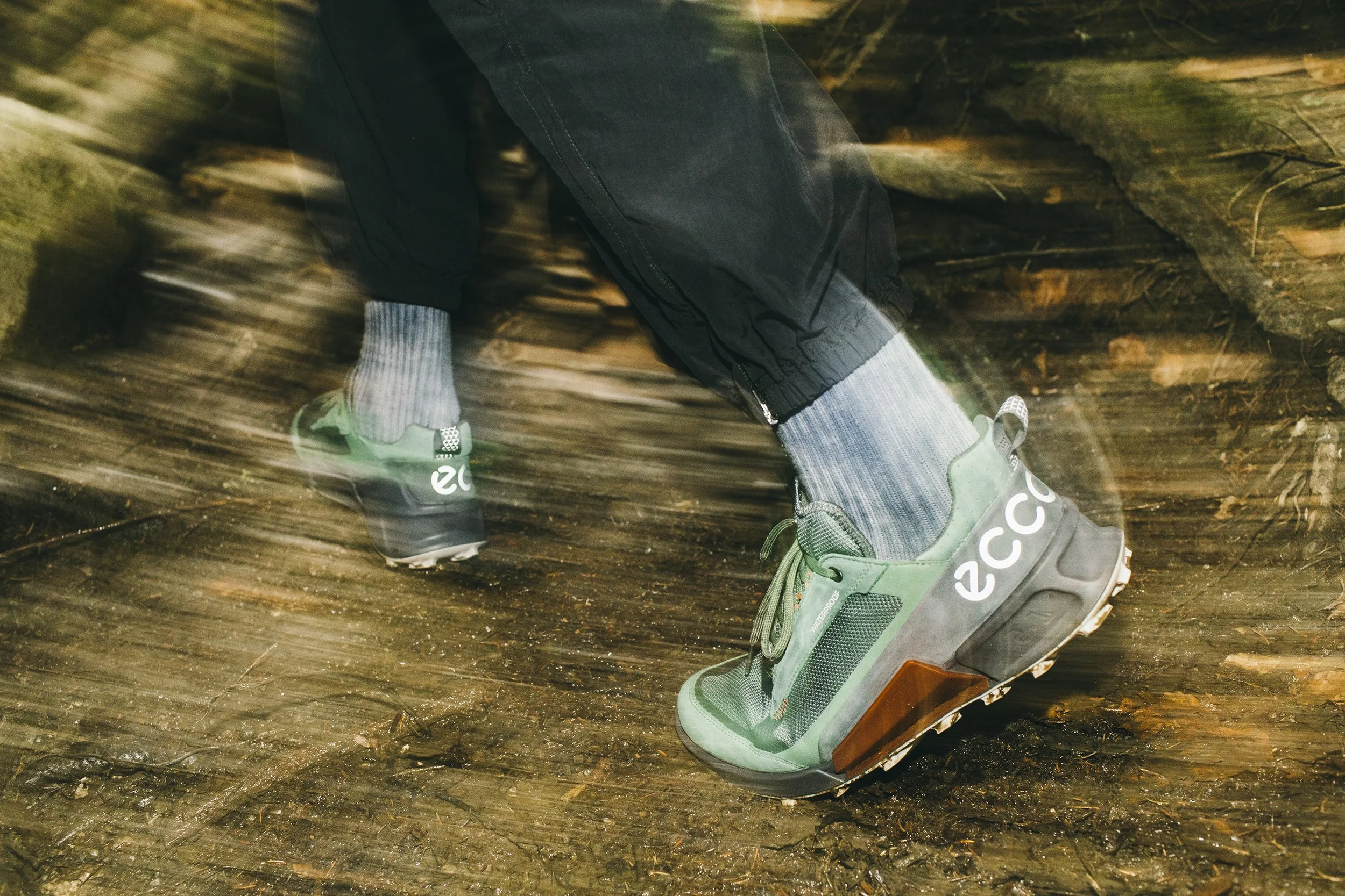 Biom2_20220627_1366 copy.jpg