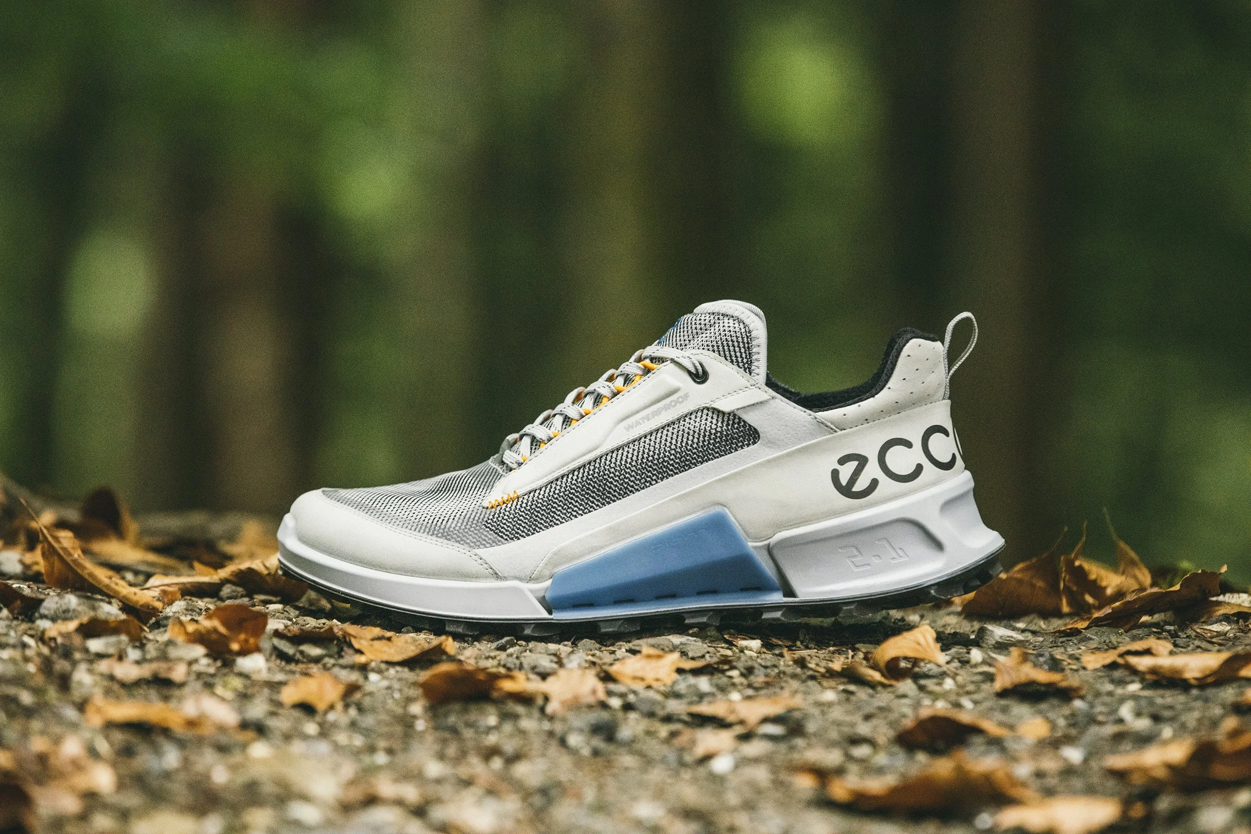 Biom2_20220627_1155 copy.jpg