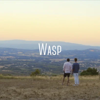 Wasp