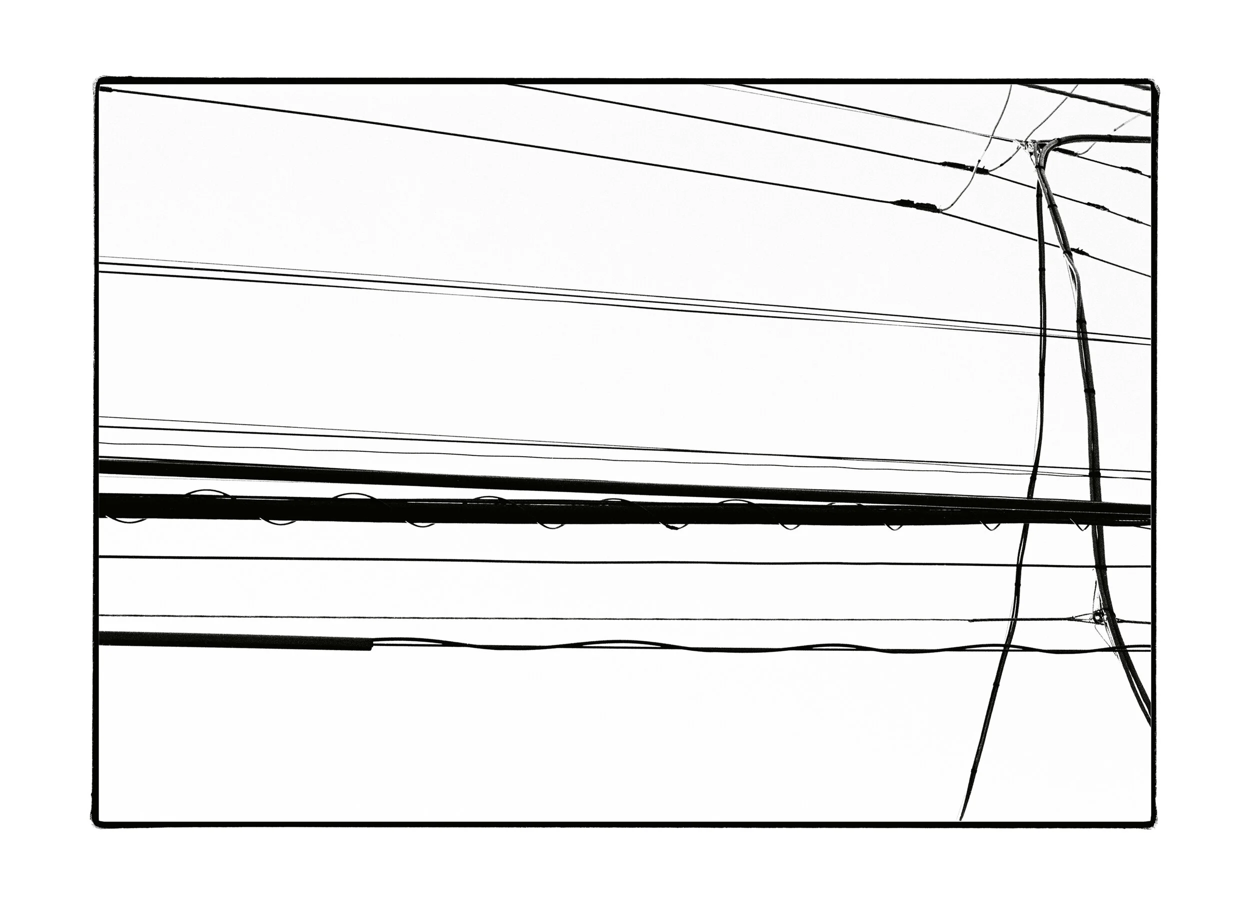 web_tokyo_image 18 f1.jpg