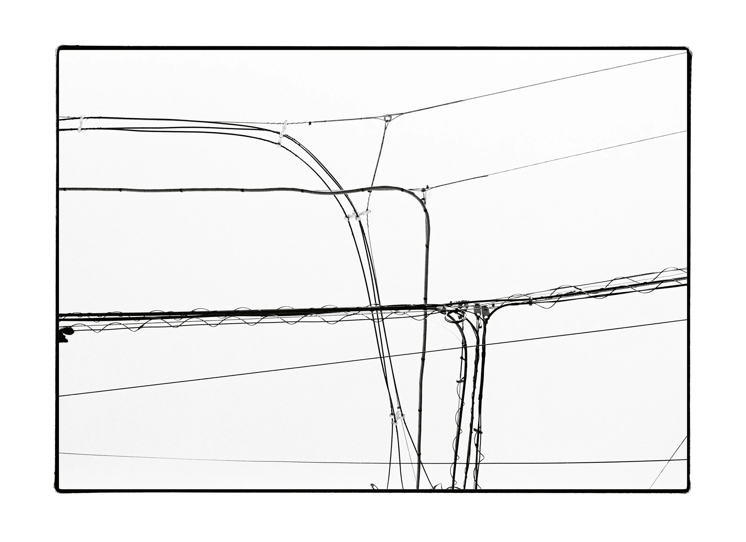 web_tokyo_image 19 f1.jpg