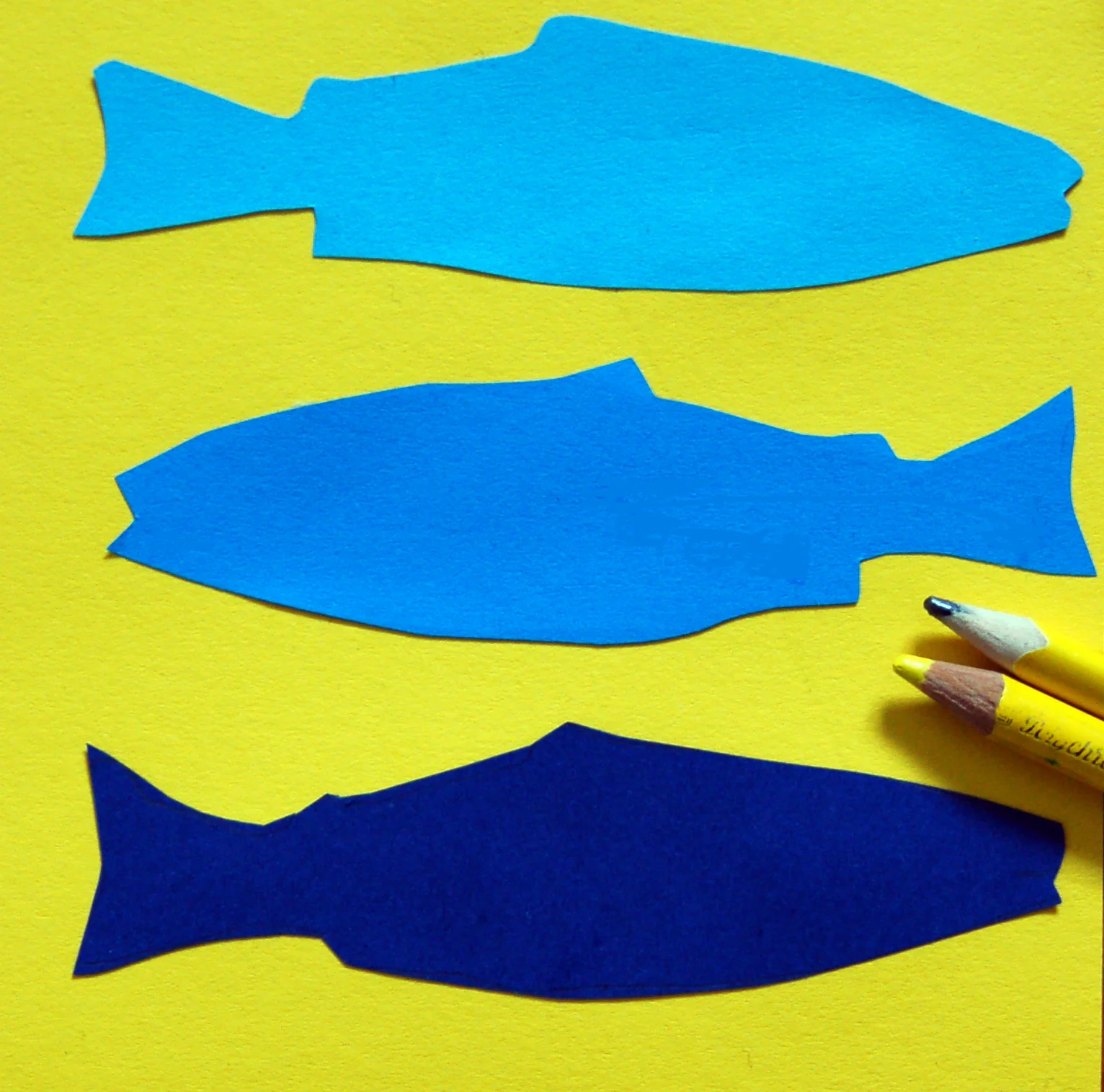 fishy-workshop.jpg