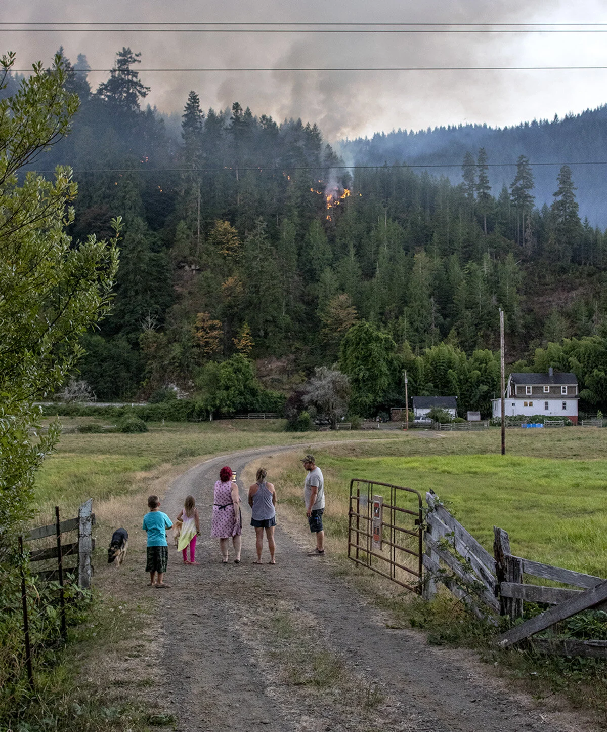  The Hendricks-Davis family watches as a fire burns across the Siuslaw river and behind their farm. The fire burning behind the Hendricks-Davis family farm was lit intentionally by firefighters for a controlled burn of an area that was at risk of cat